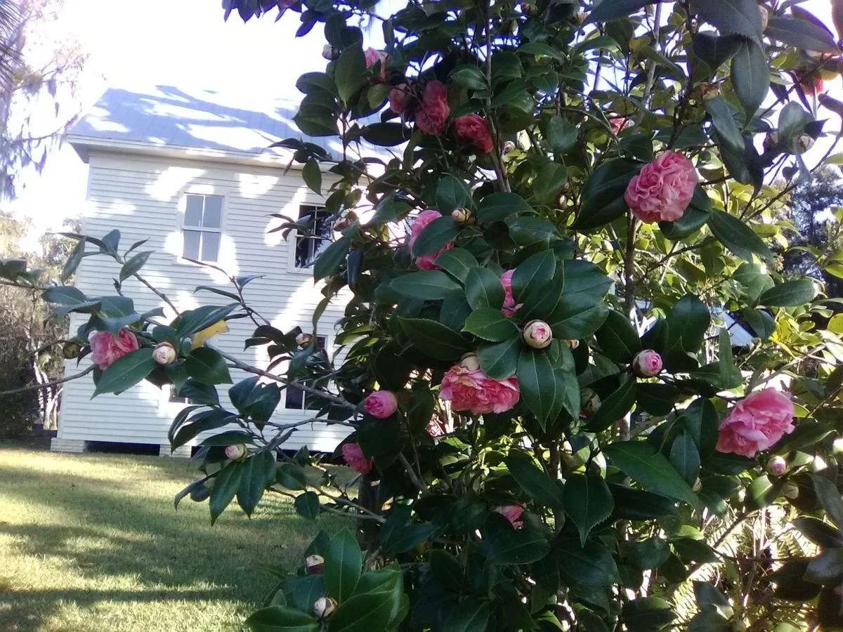 5c07fff494b7a.image.jpg