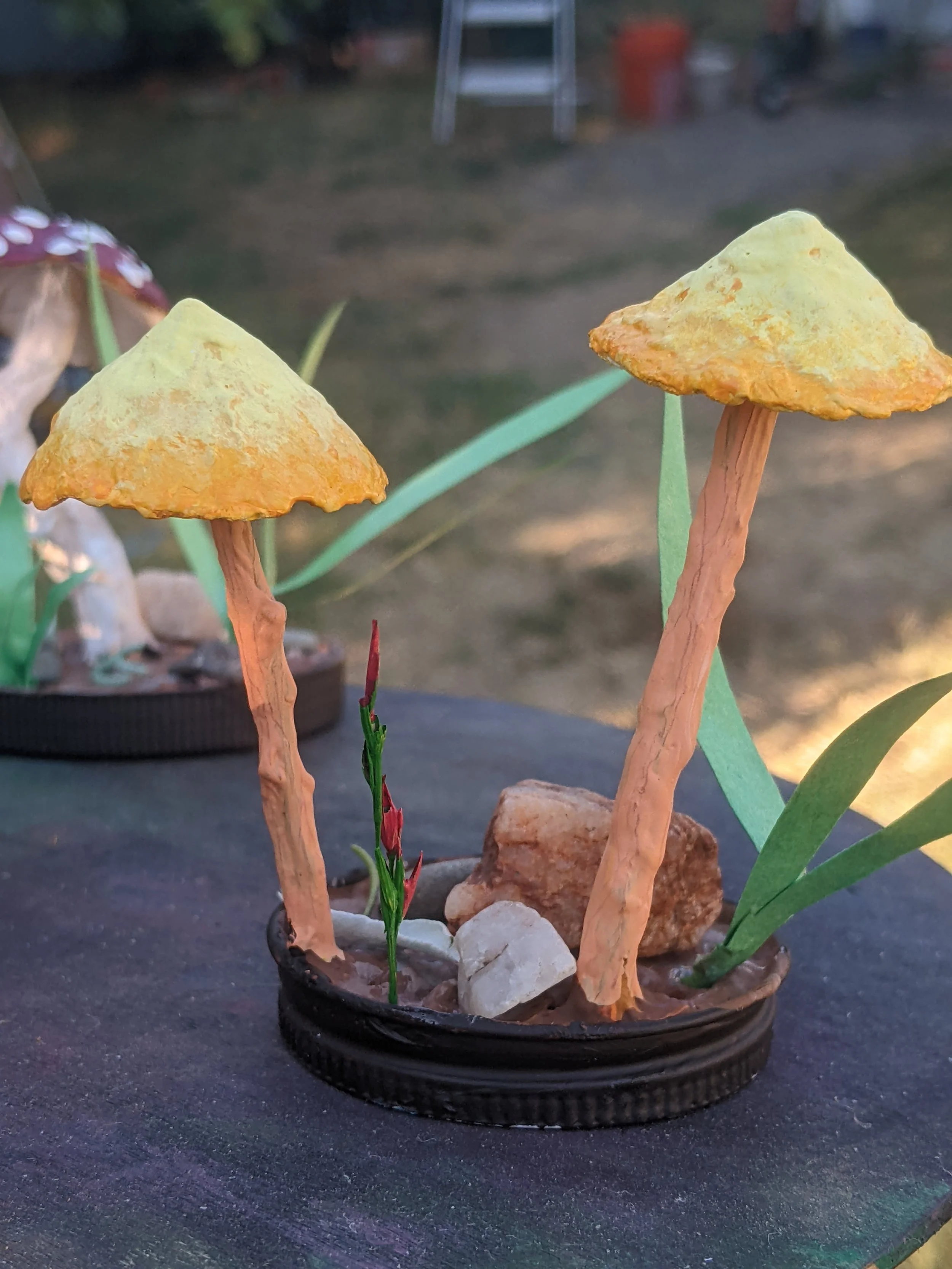 Golden Cap Fungi
