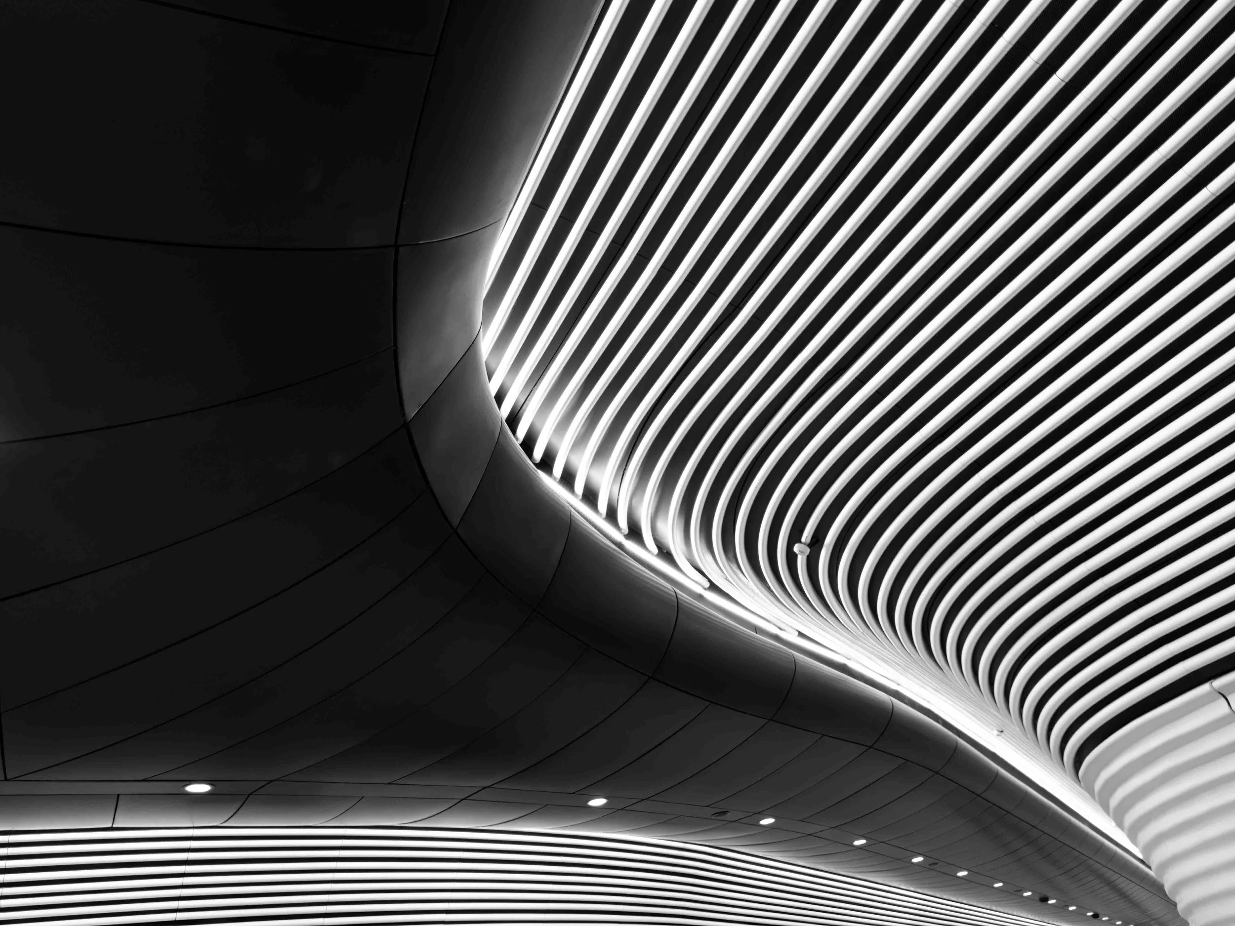 KathyWallacePhotography - Metro - 8706.JPG