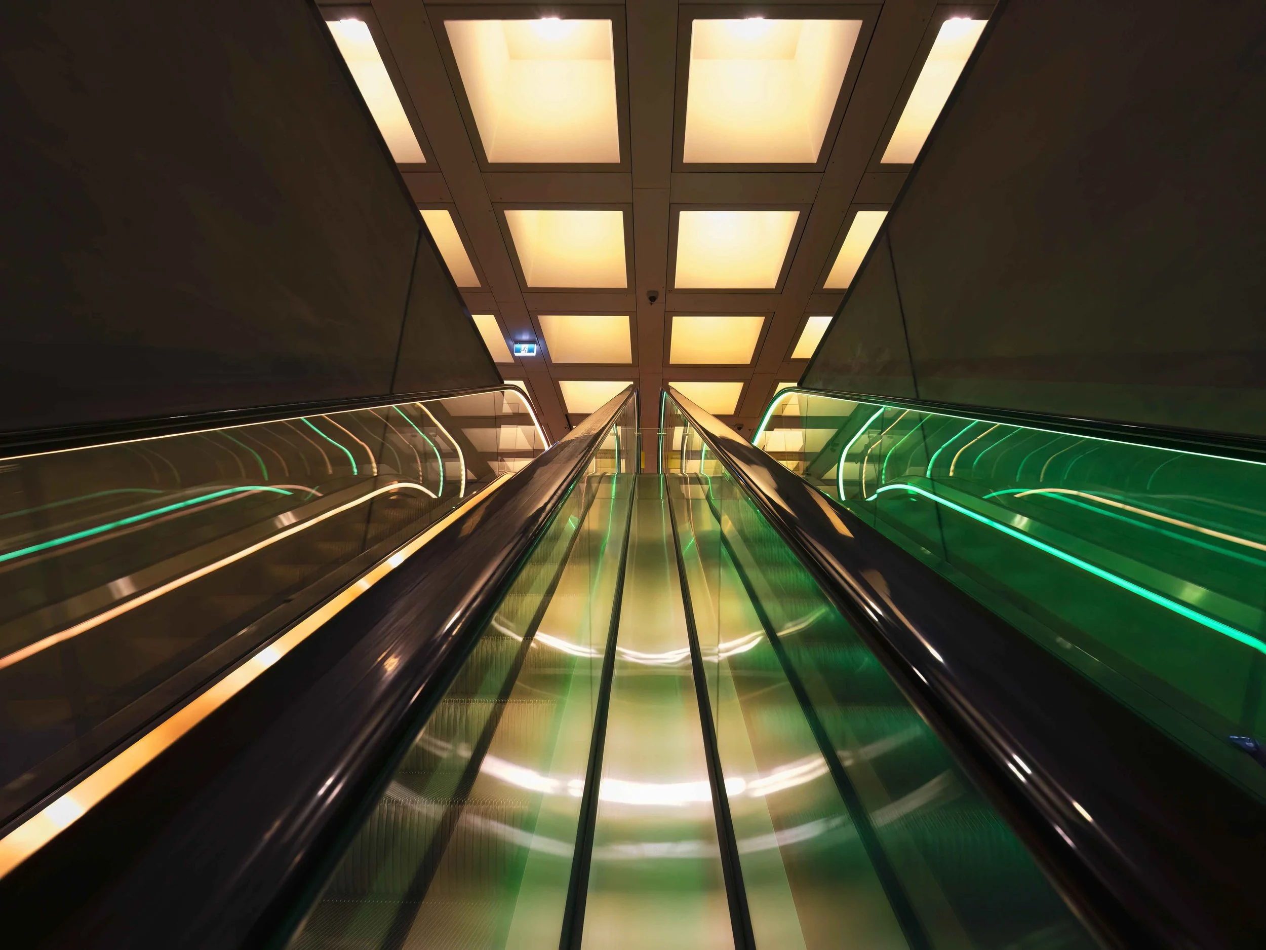 KathyWallacePhotography - UTS - 4292.JPG