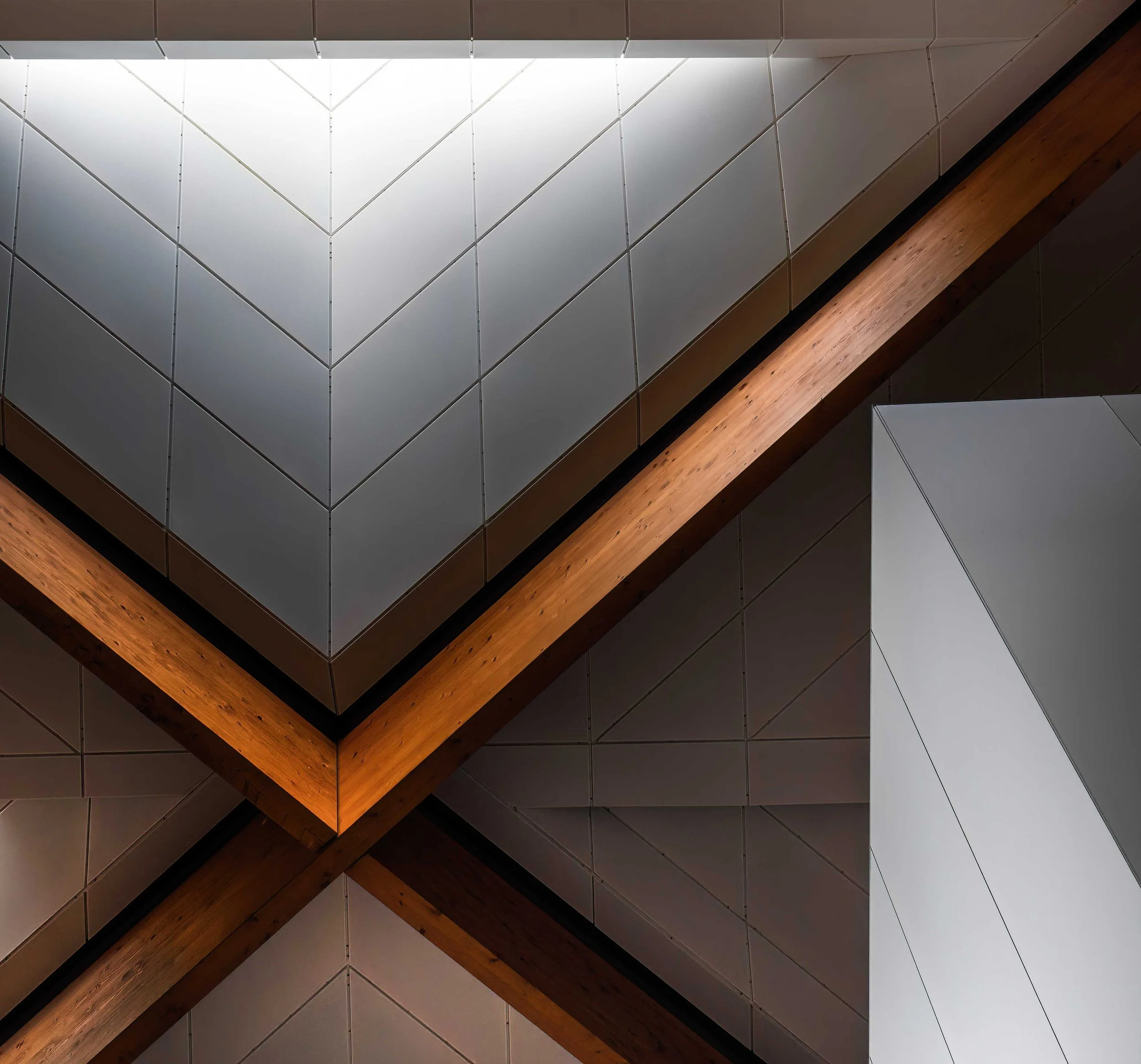 KathyWallacePhotography - Sydney Fish Market 8655.JPG