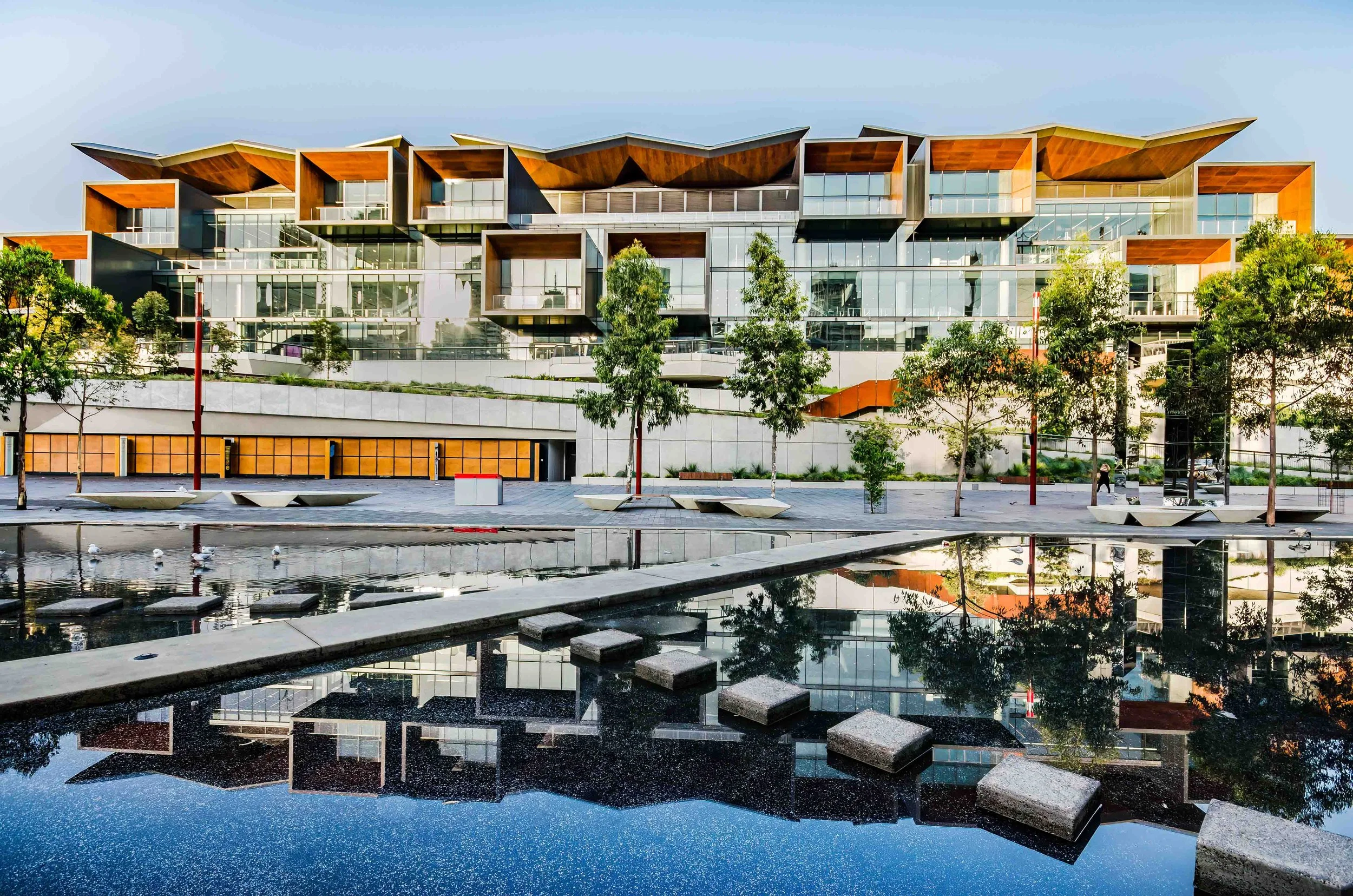 KathyWallacePhotography - Darling Harbour 0231.JPG