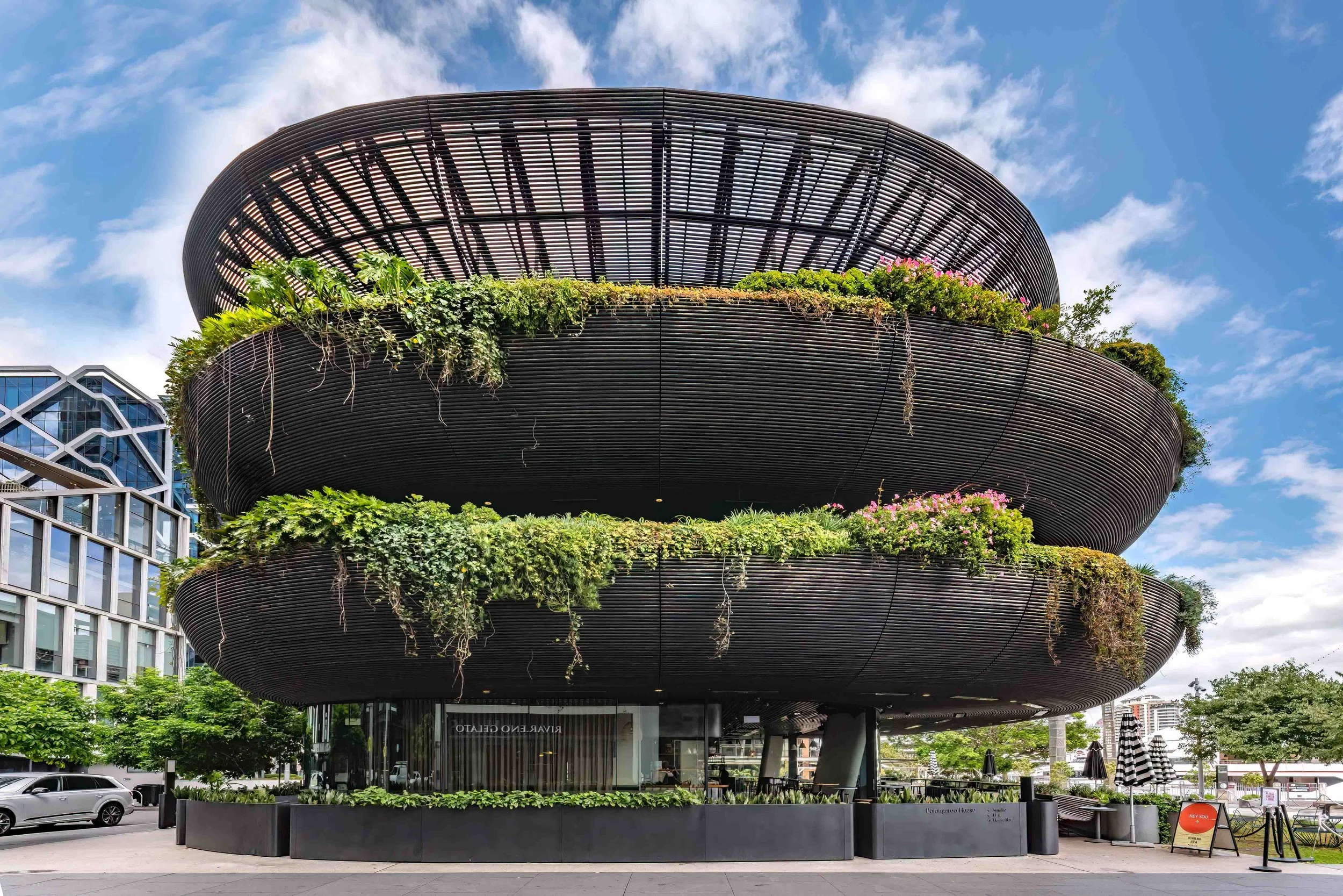 KathyWallacePhotography - Barangaroo - 6472.JPG