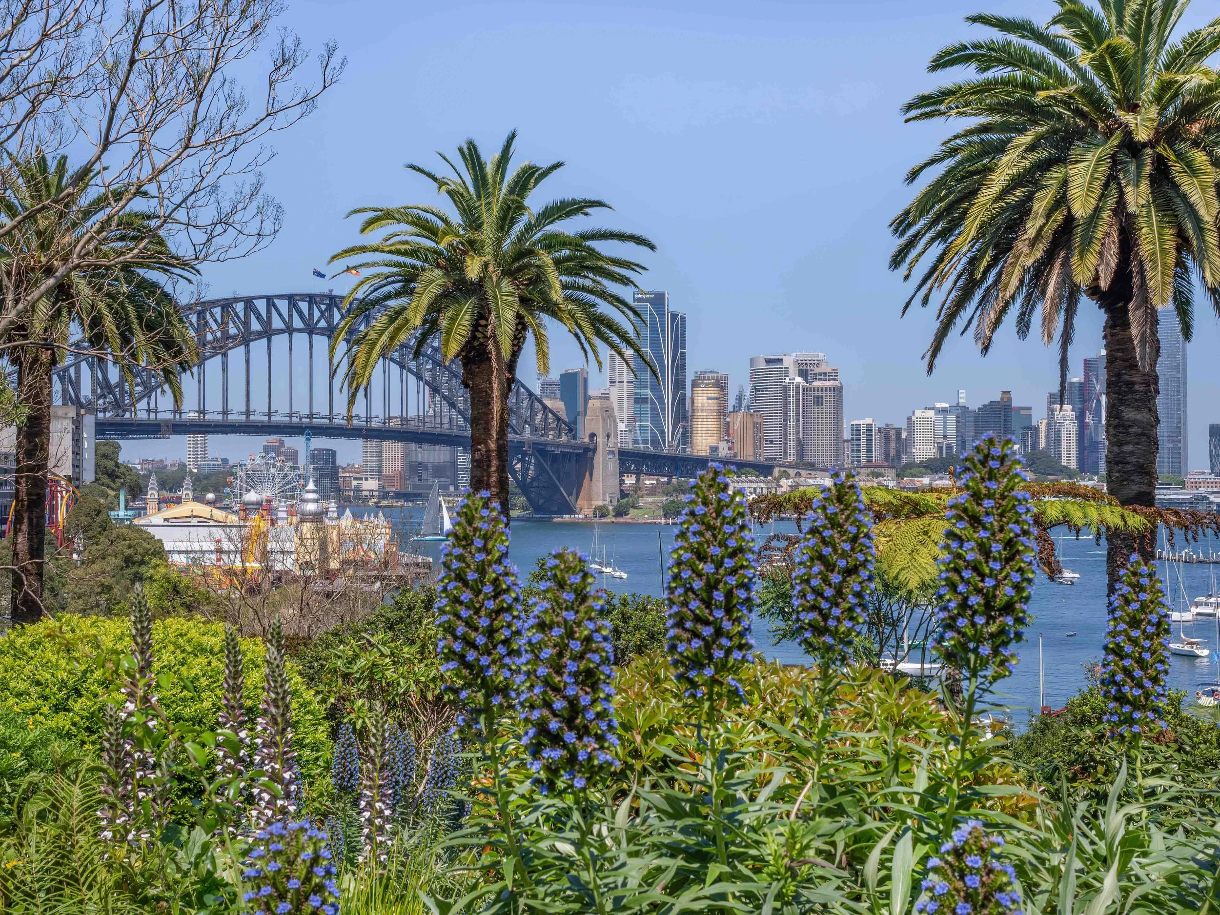 KathyWallacePhotography - Sydney Harbour Bridge 2400.JPG