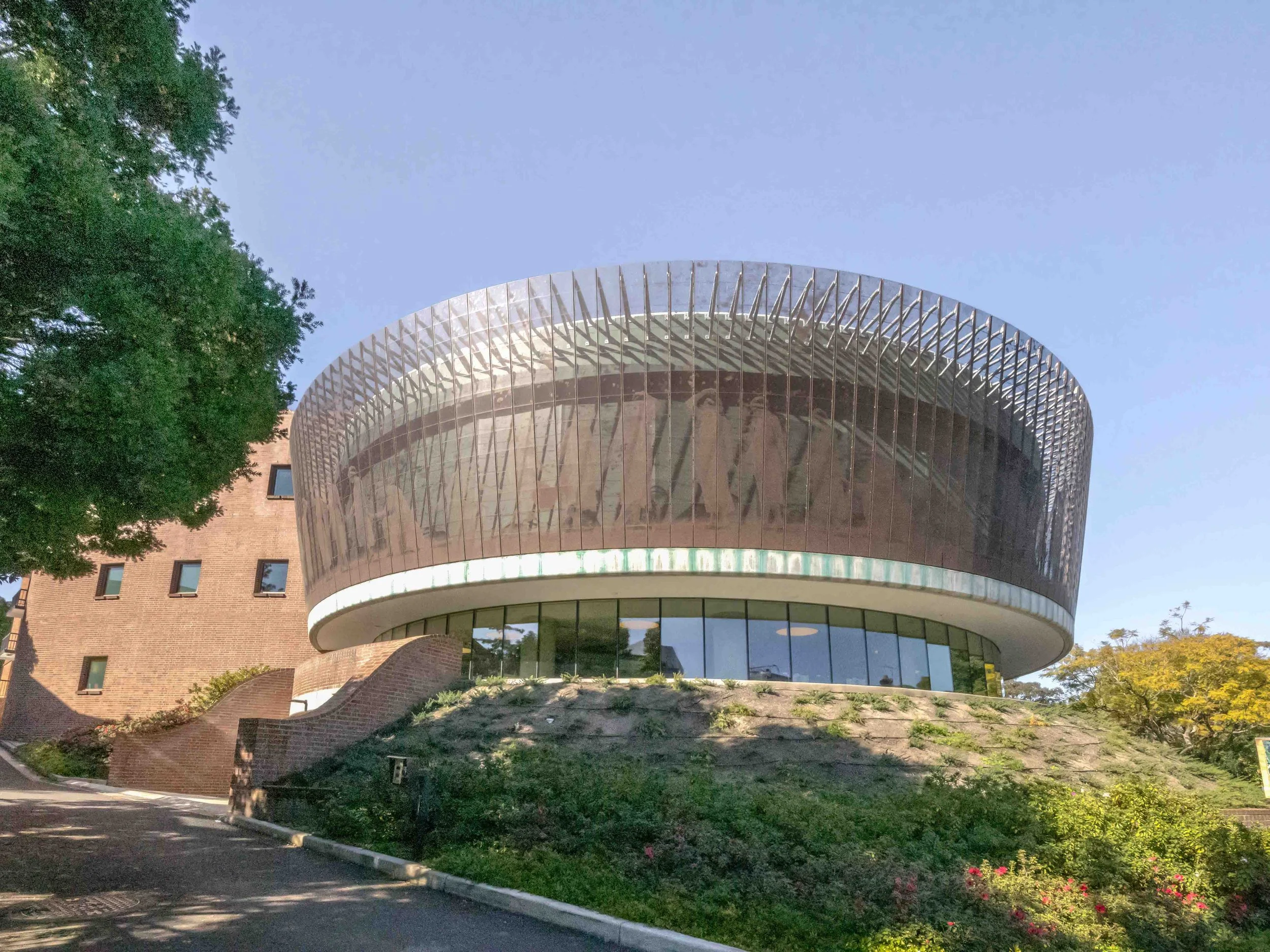 KathyWallacePhotography - Sydney Uni - 0603.JPG