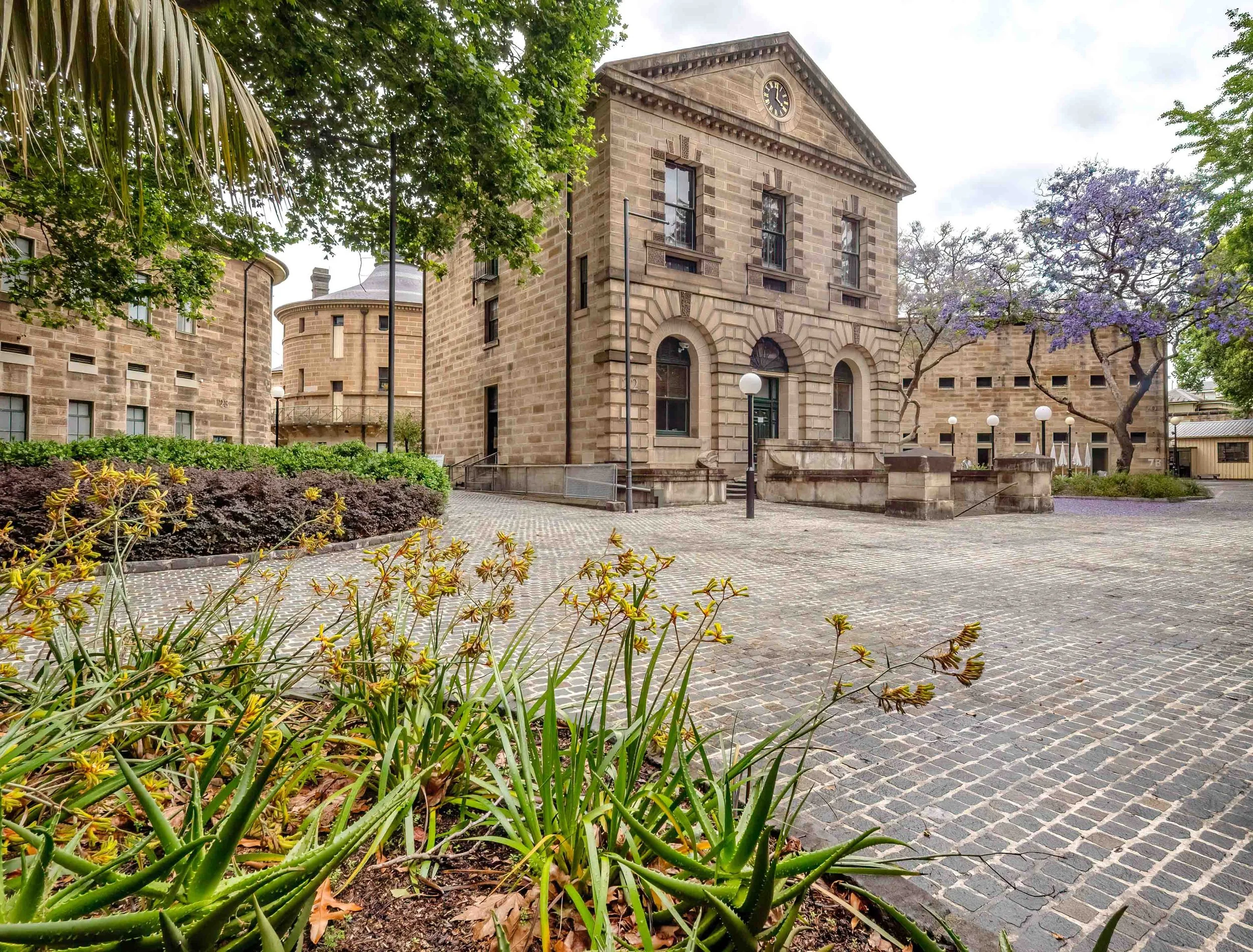 KathyWallacePhotography - National Art School - 5597.JPG