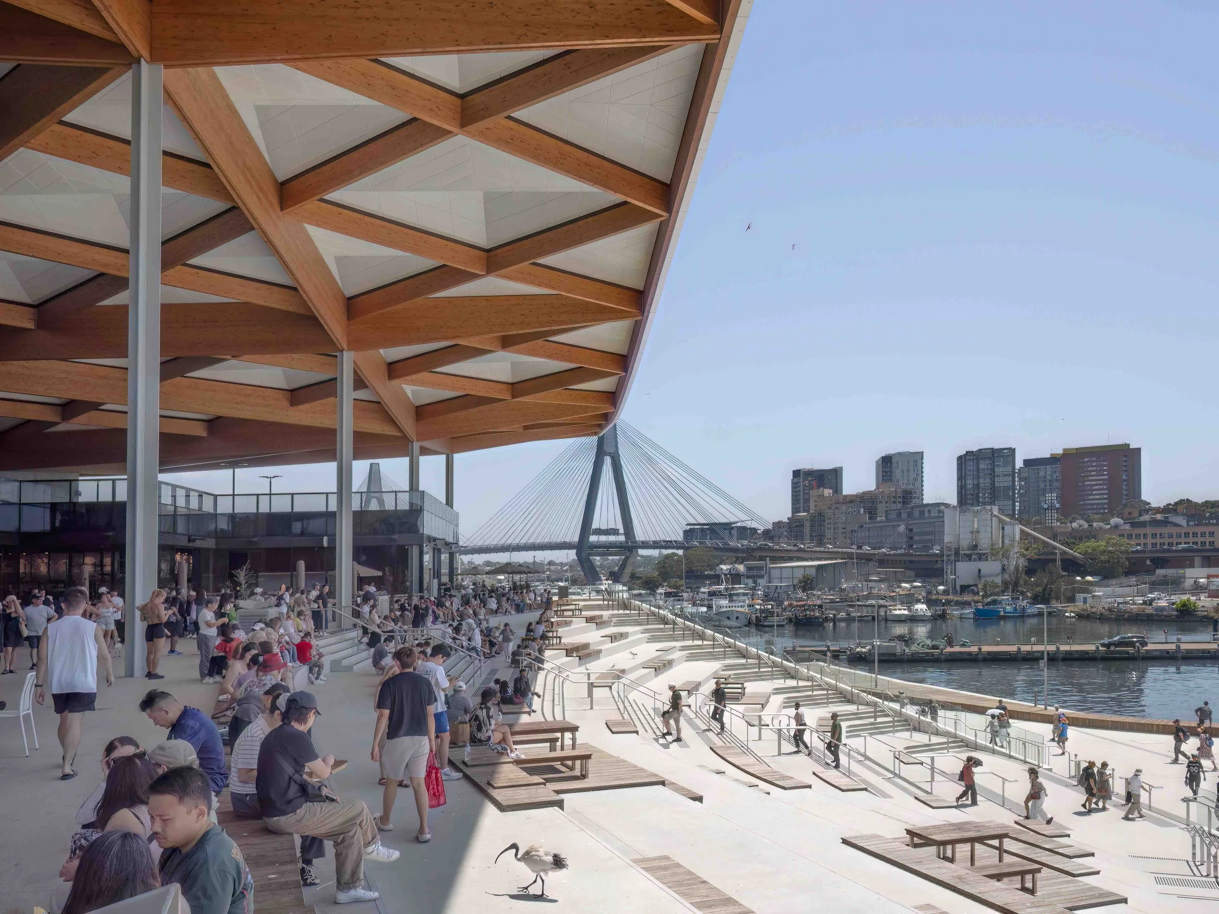 KathyWallacePhotography - Sydney Fish Market 8488.JPG