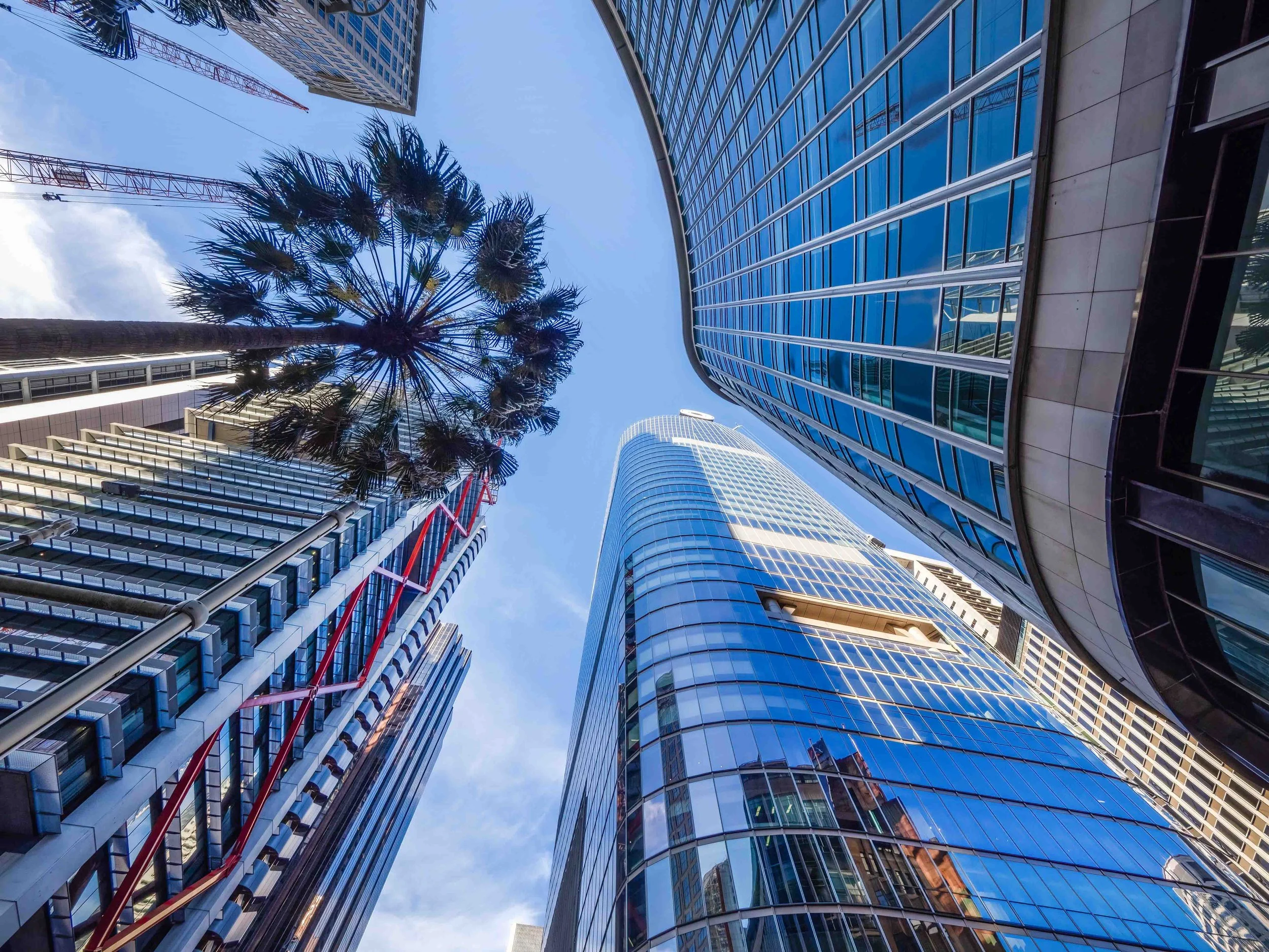 KathyWallacePhotography - 1 Elizabeth - 3406.JPG