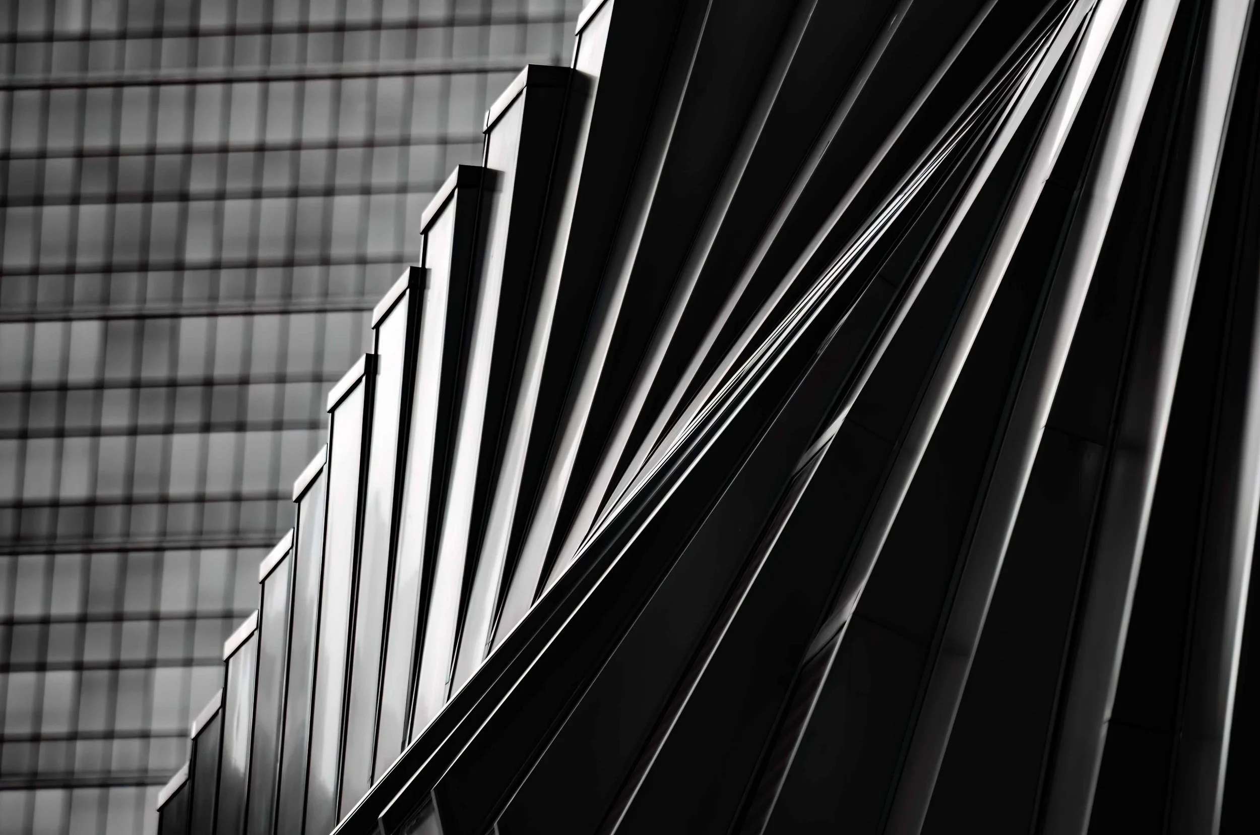 KathyWallacePhotography - Darling Harbour 0294.JPG