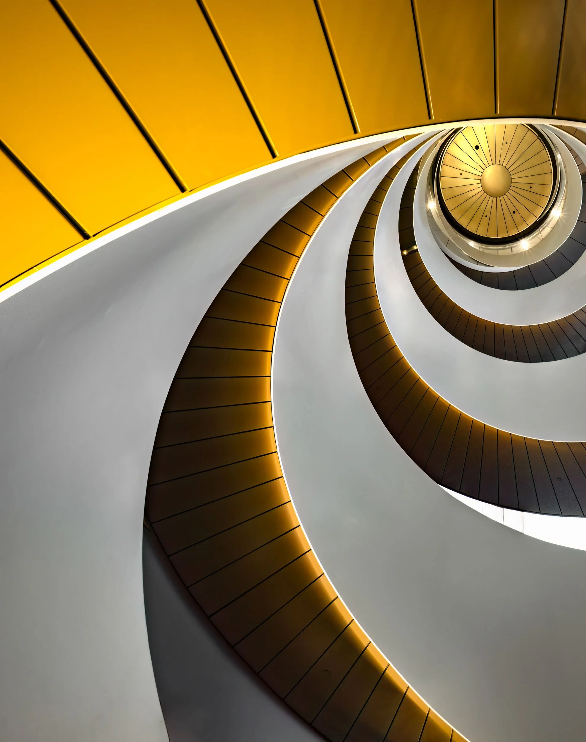 KathyWallacePhotography - UTS - 4259.JPG