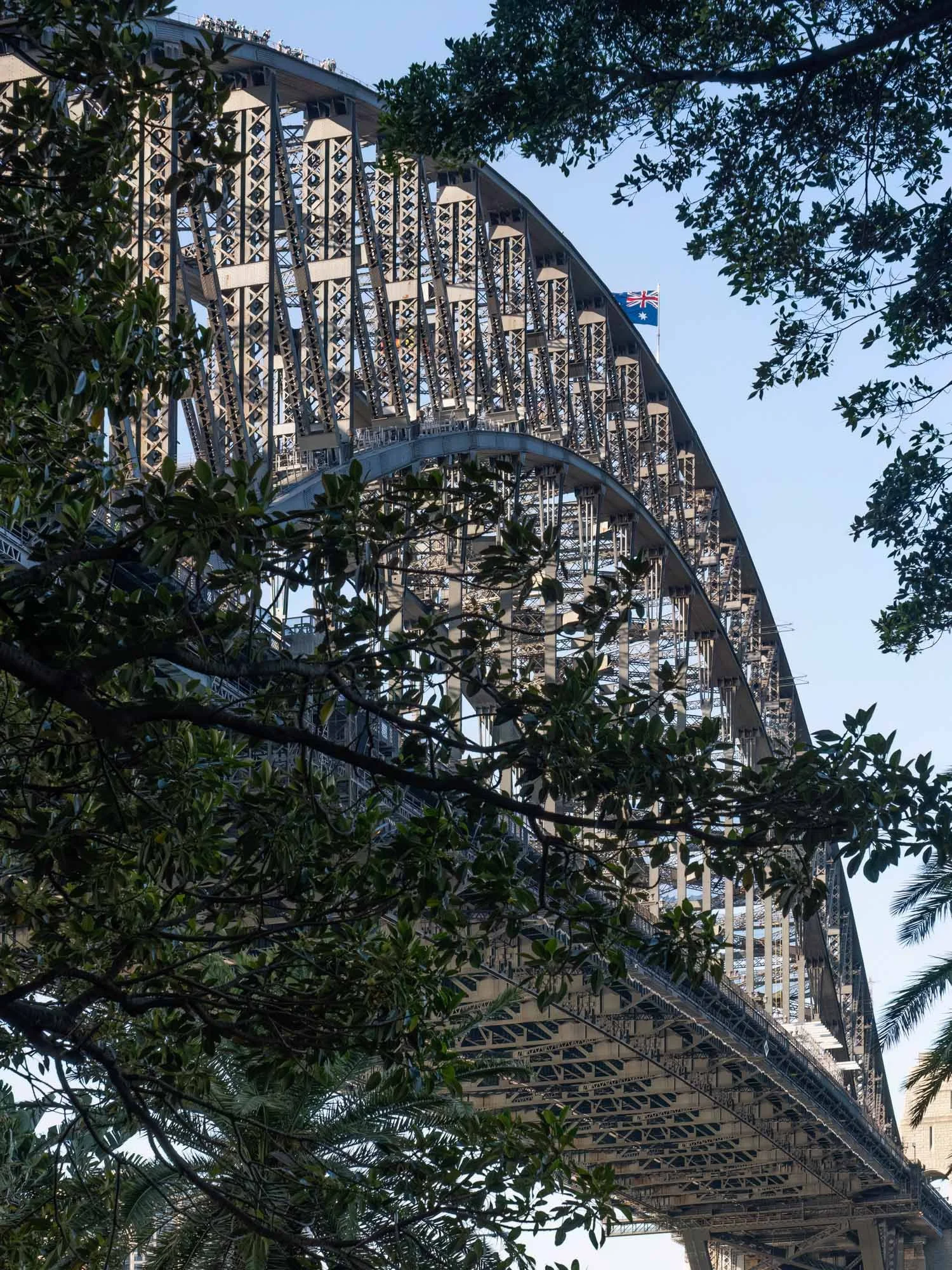 KathyWallacePhotography - Sydney Harbour Bridge 7981.JPG