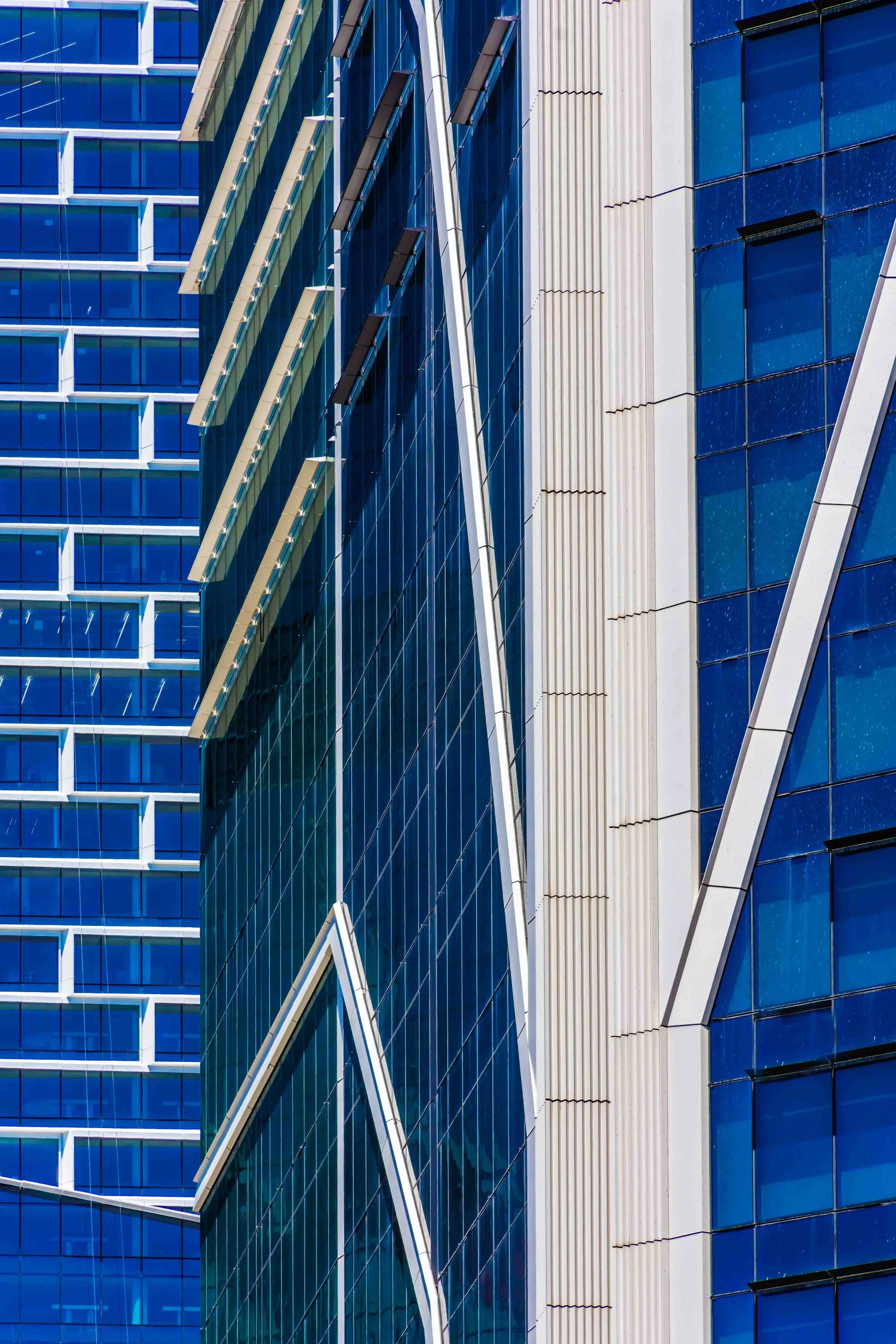 KathyWallacePhotography - Salesforce - 1.JPG