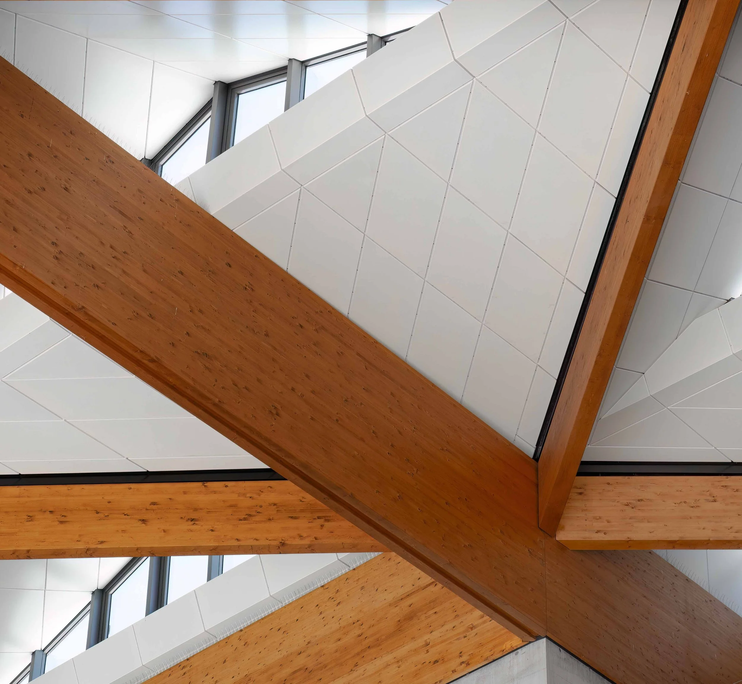 KathyWallacePhotography - Sydney Fish Market 8545.JPG