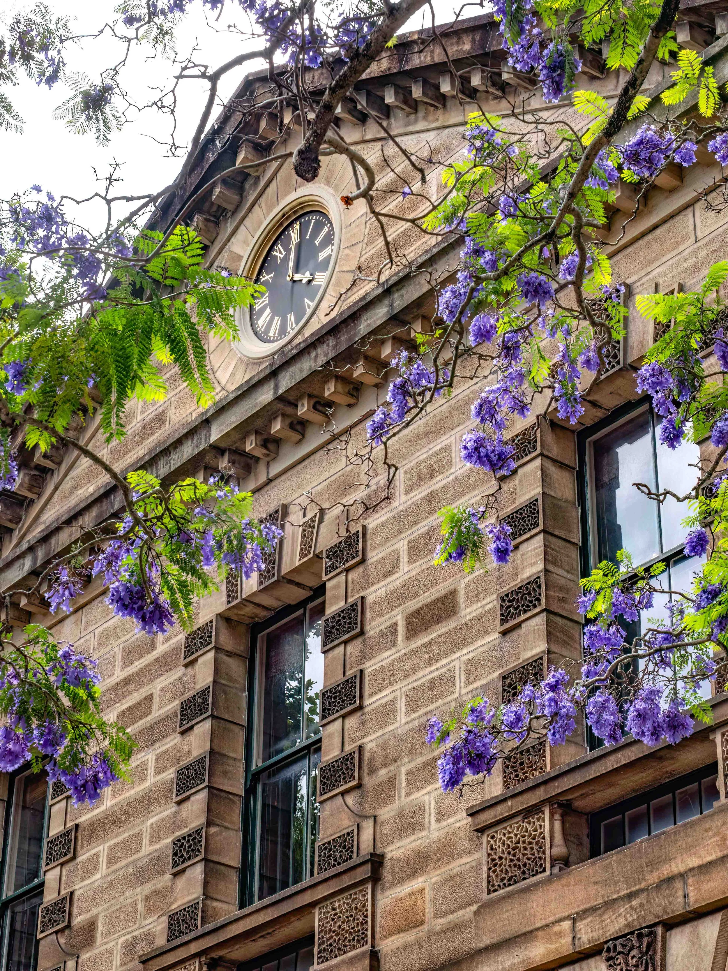 KathyWallacePhotography - National Art School - 5542.JPG