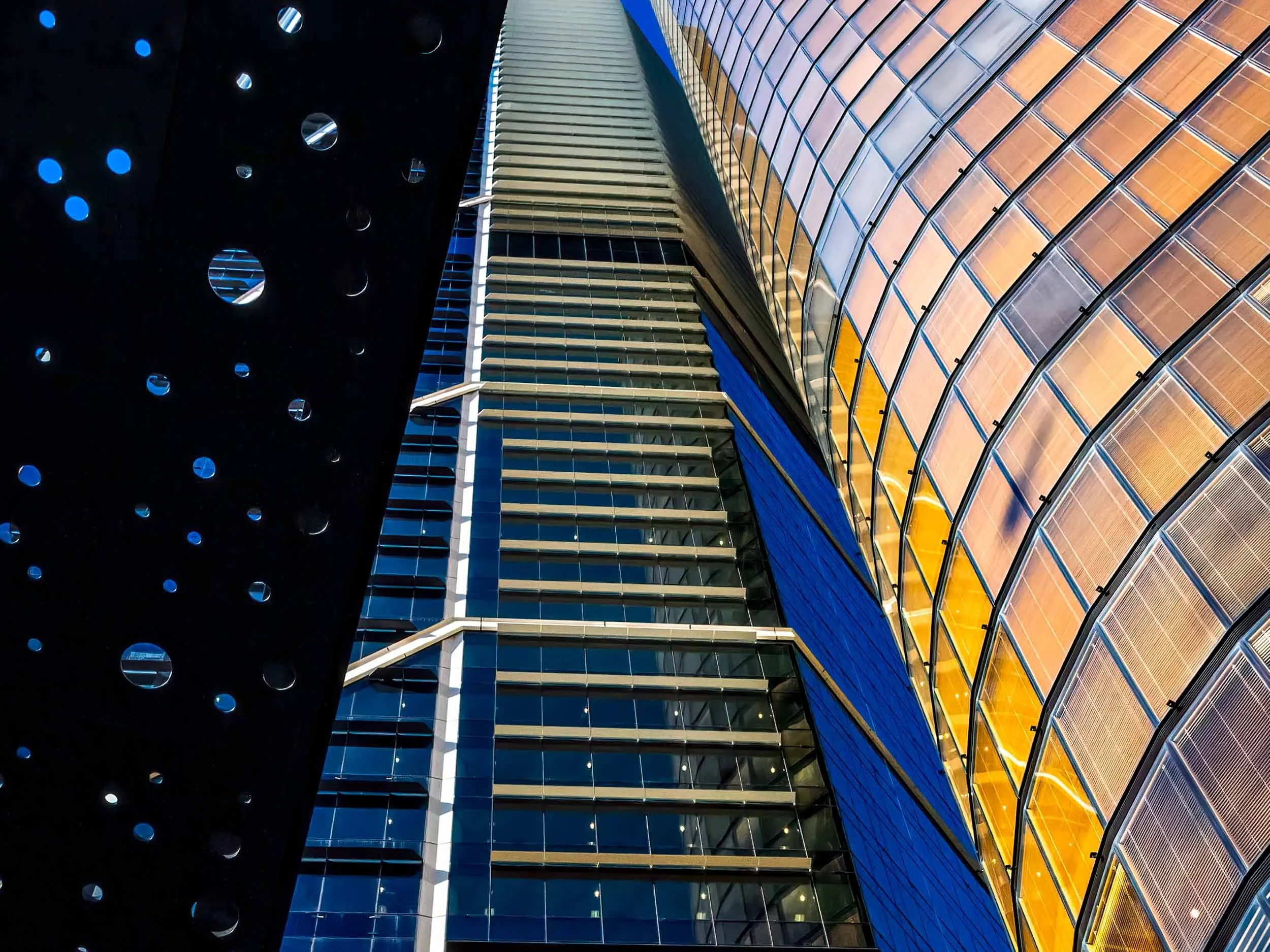 KathyWallacePhotography - Salesforce - 0462.JPG