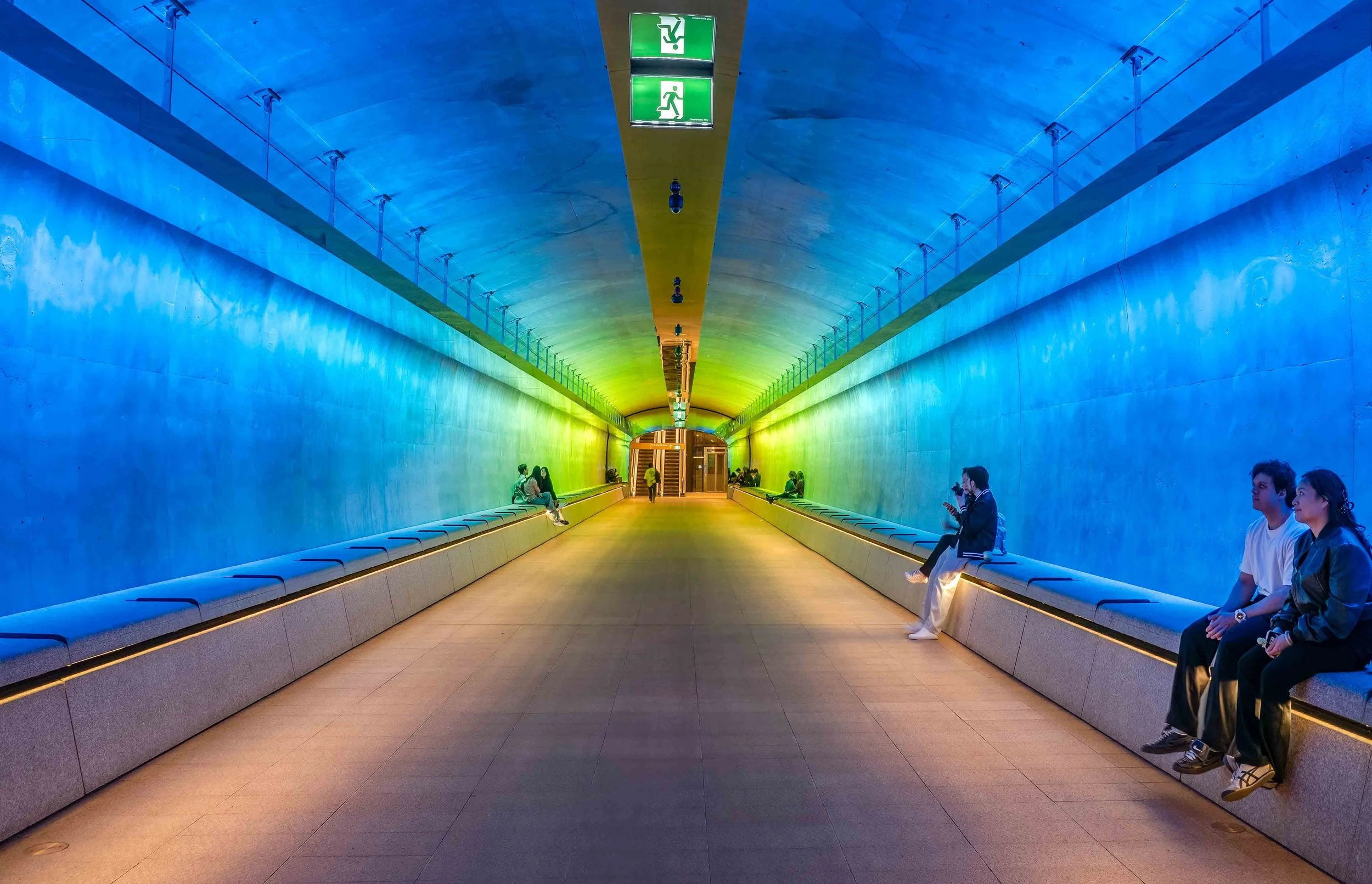 KathyWallacePhotography - Metro - 3711.JPG