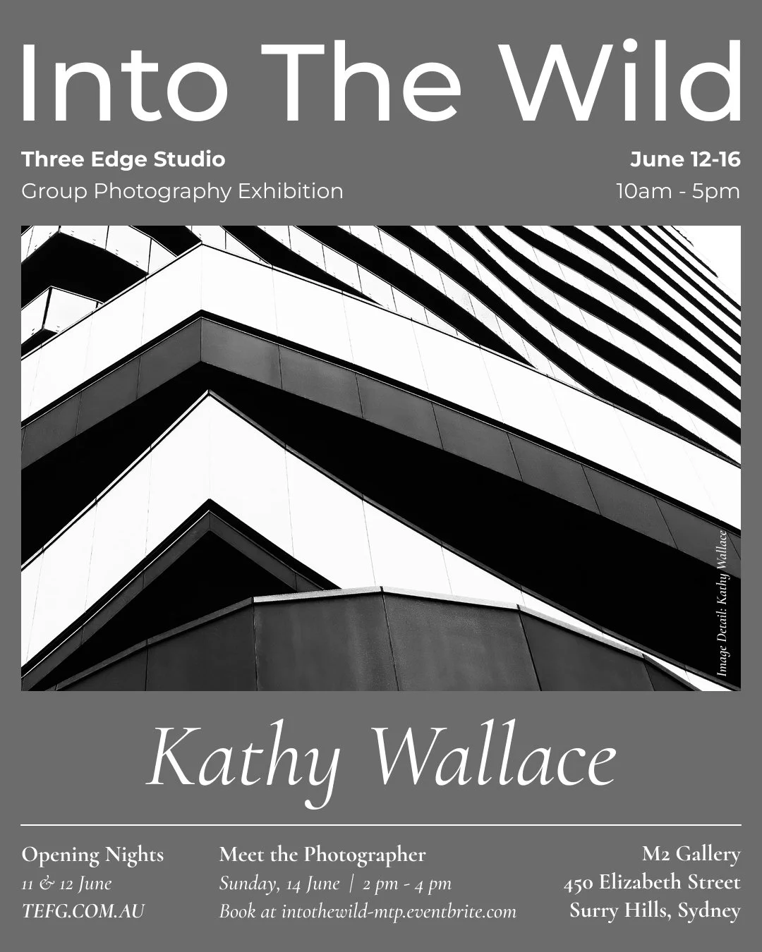 Three Edge Studio Group Exhibition "Into the Wild" Photography Exhibition Sydney