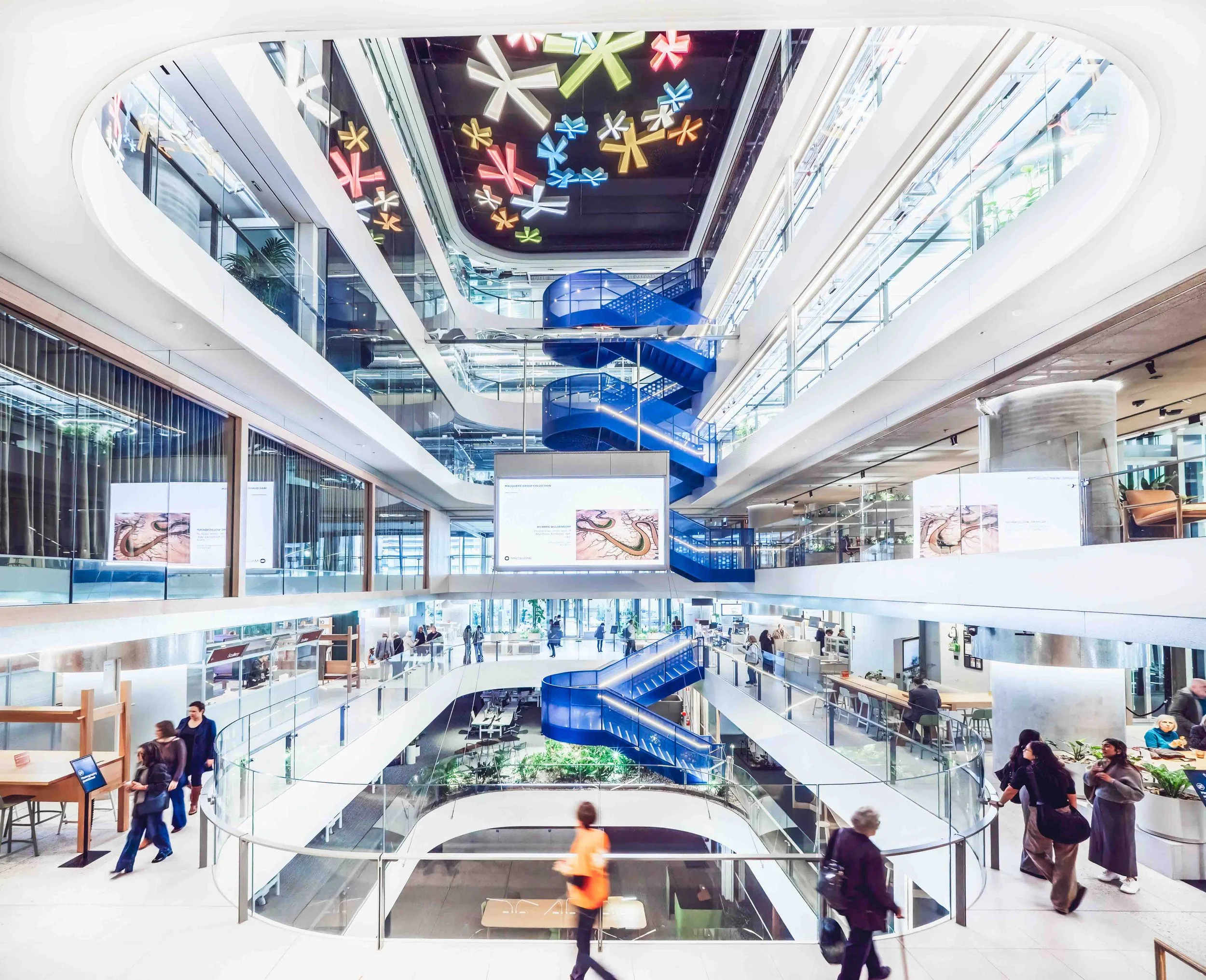 KathyWallacePhotography - 1 Elizabeth - 3555.JPG