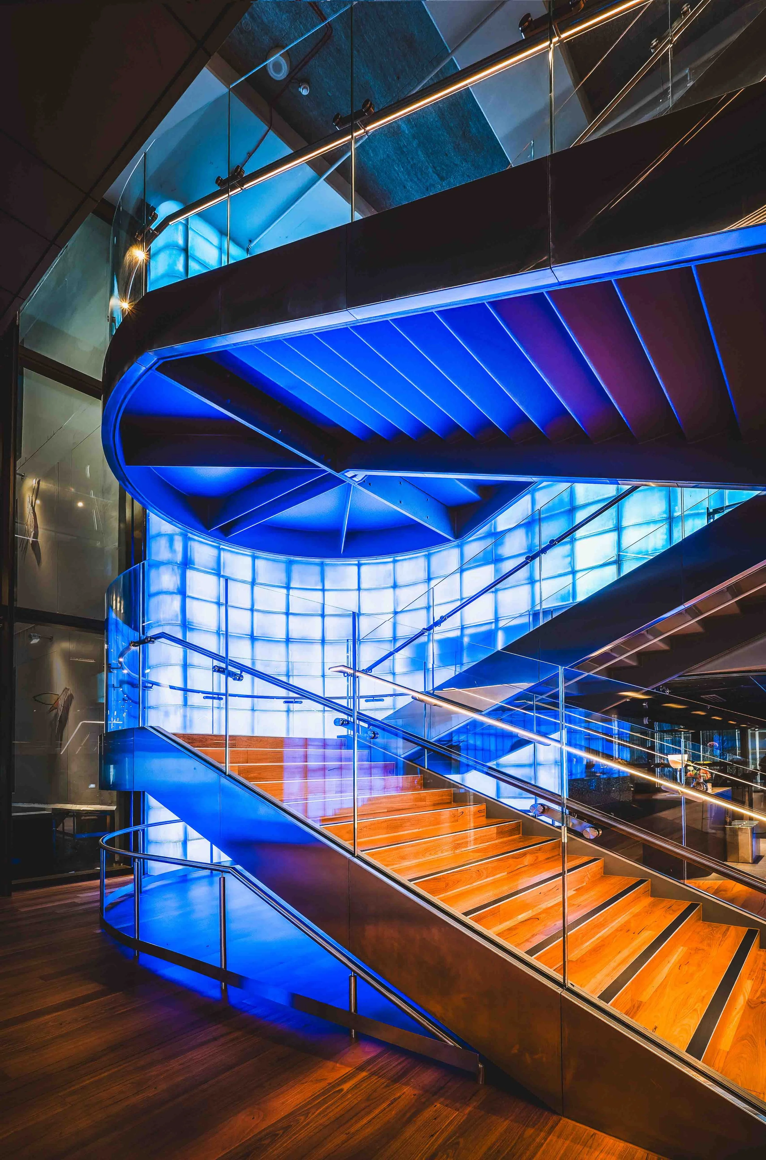 KathyWallacePhotography - 1 Elizabeth - 3575.JPG