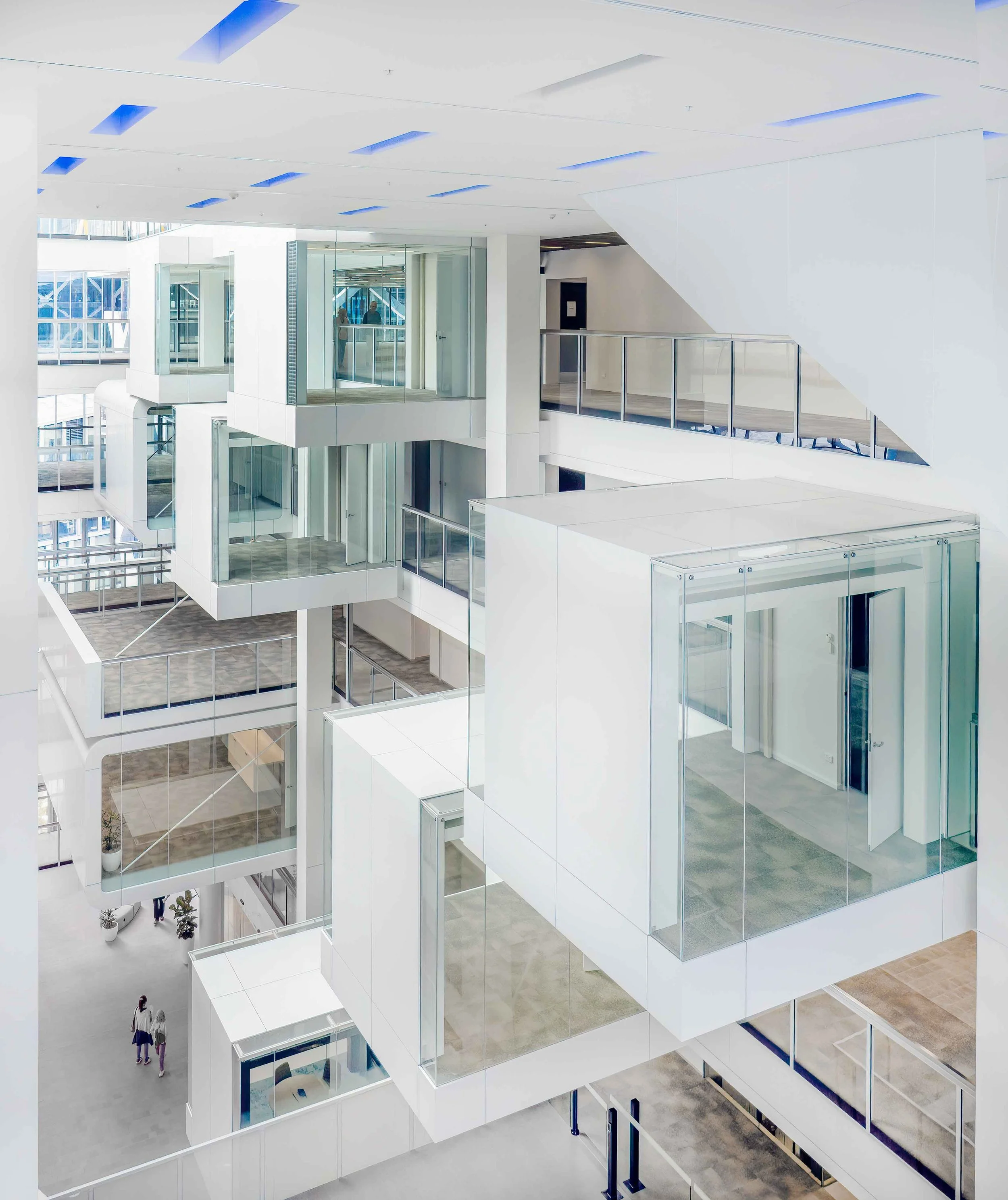 KathyWallacePhotography - 1 Shelley 6836.JPG