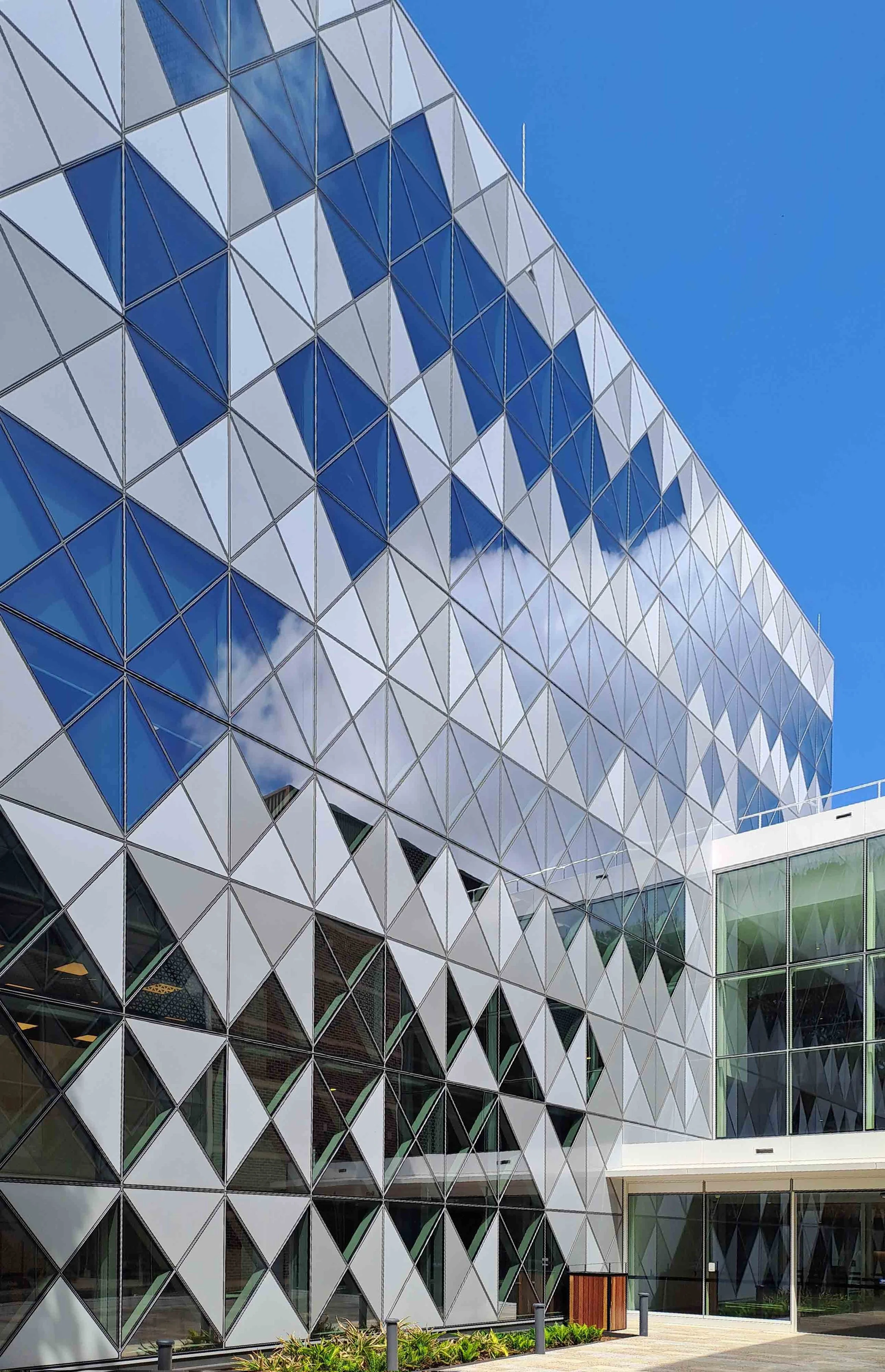 KathyWallacePhotography - Macquarie Uni - 20260219.145053.JPG