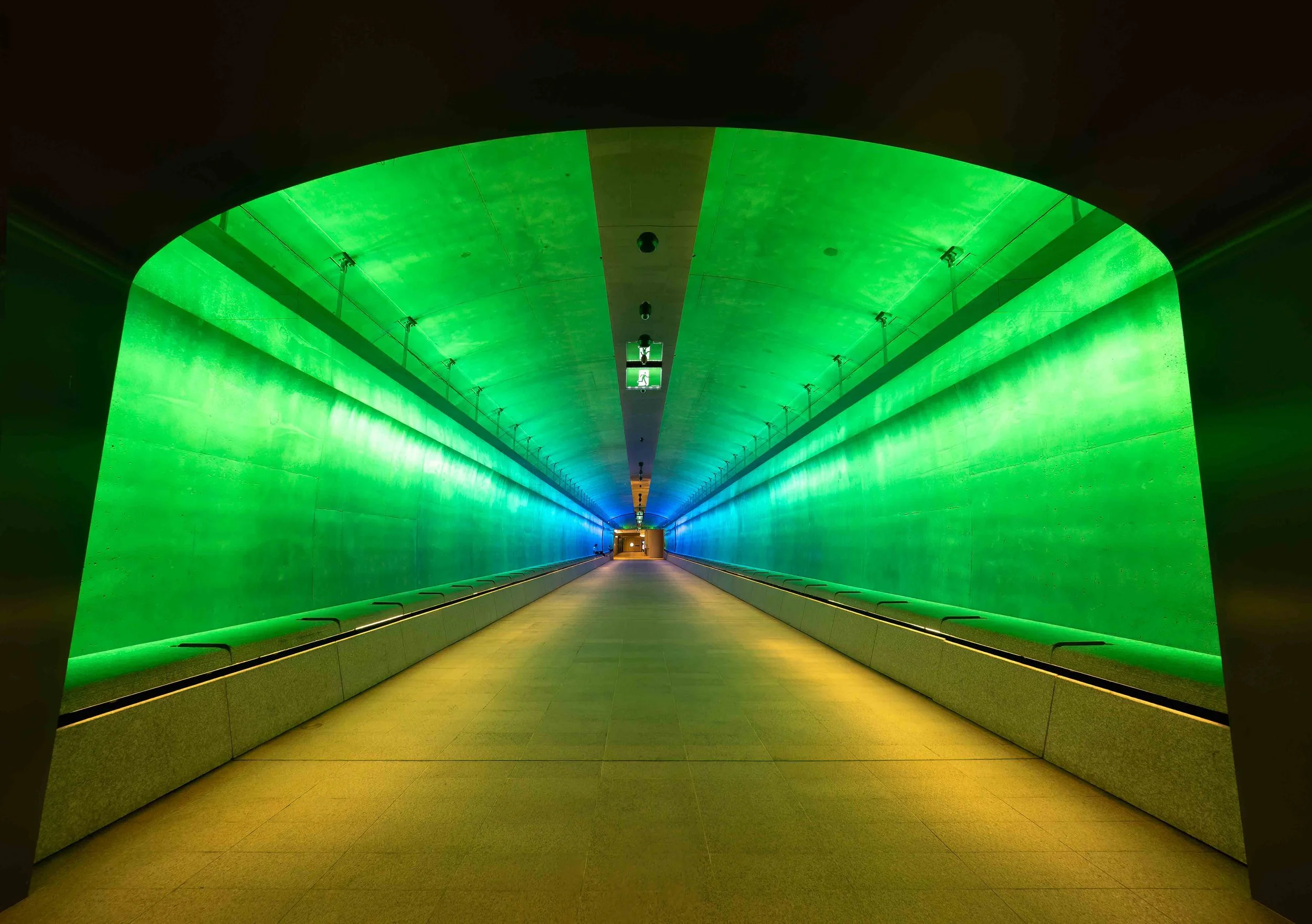 KathyWallacePhotography - Metro - 8728.JPG