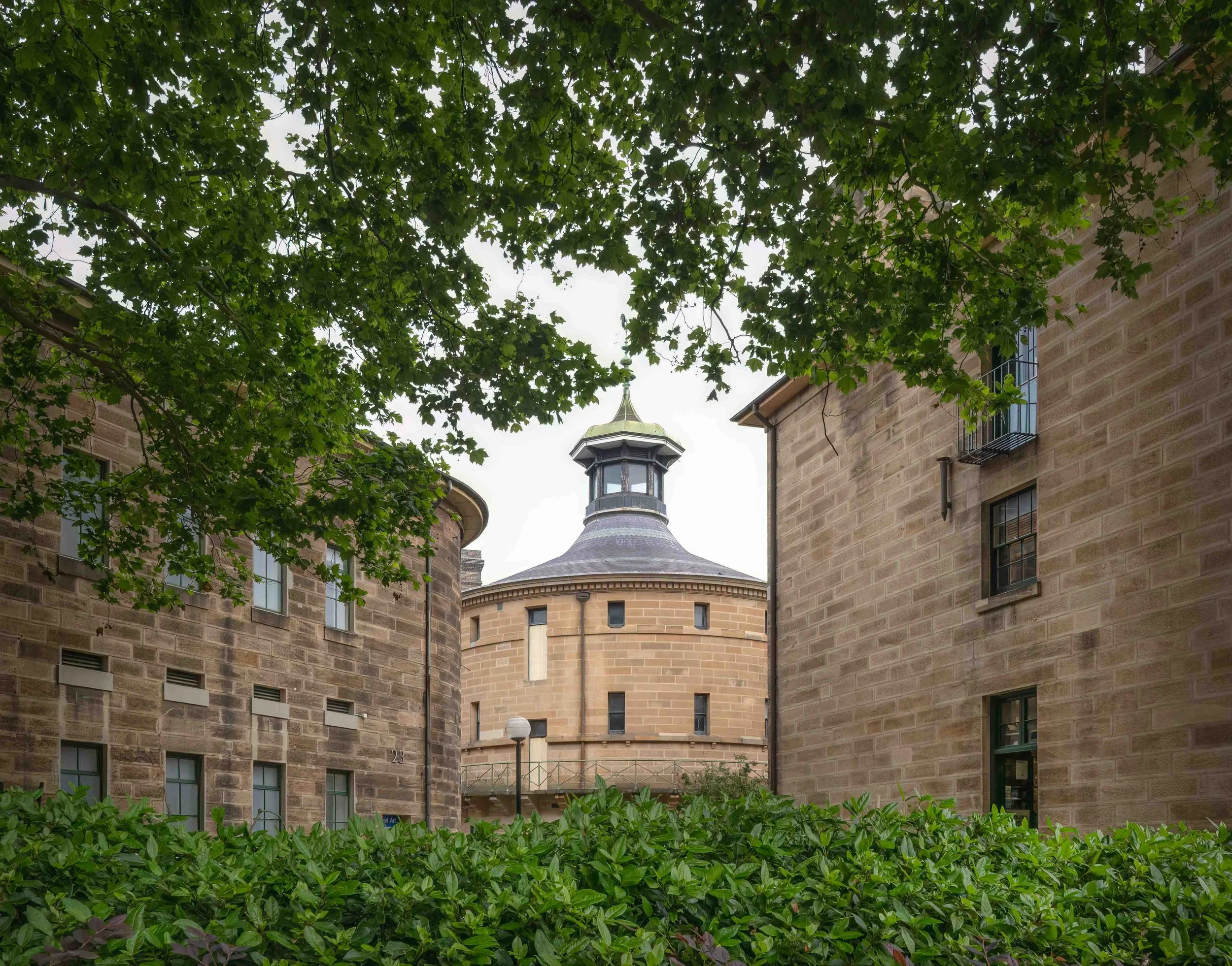 KathyWallacePhotography - National Art School - 5592.JPG