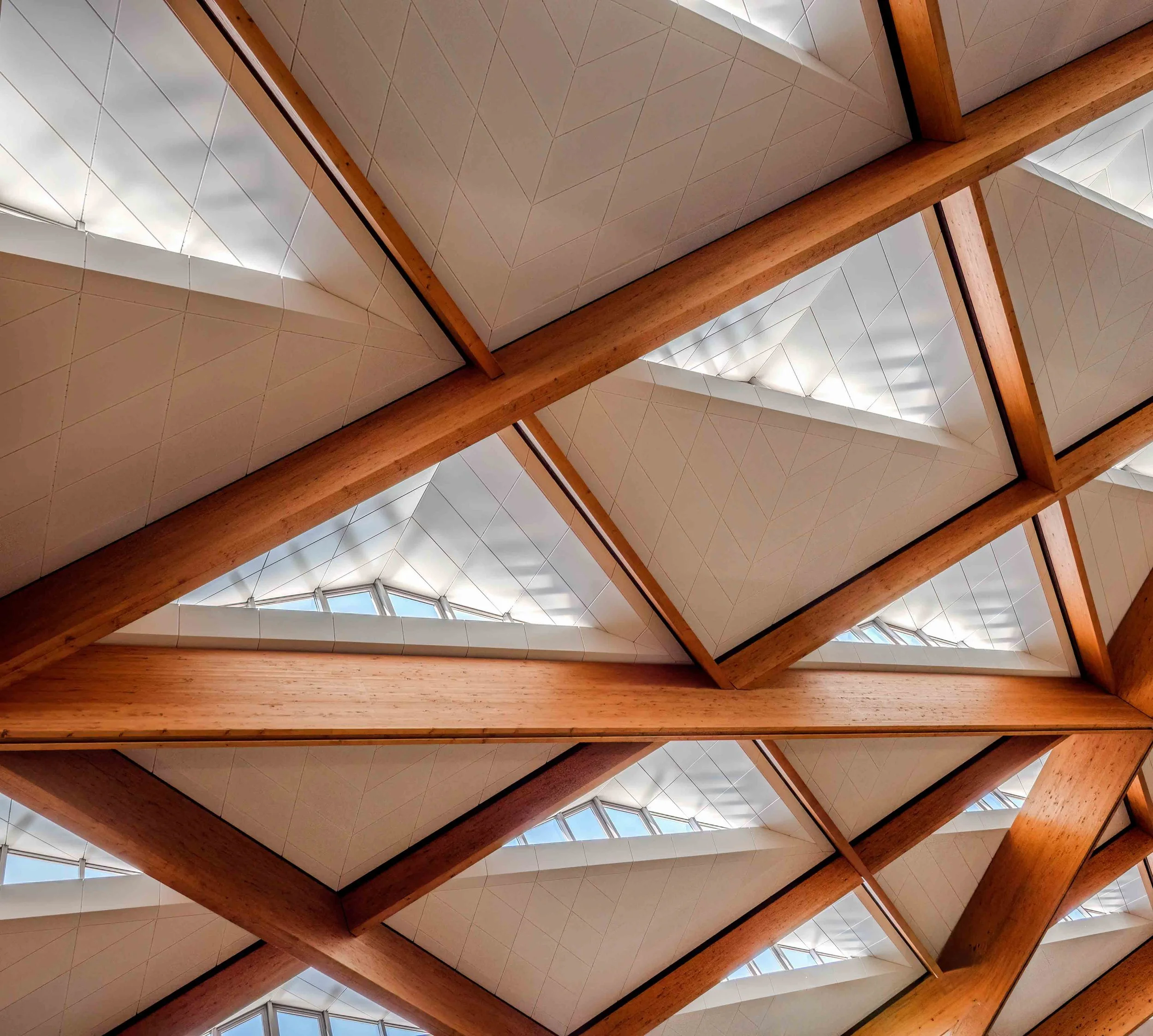 KathyWallacePhotography - Sydney Fish Market 8383.JPG