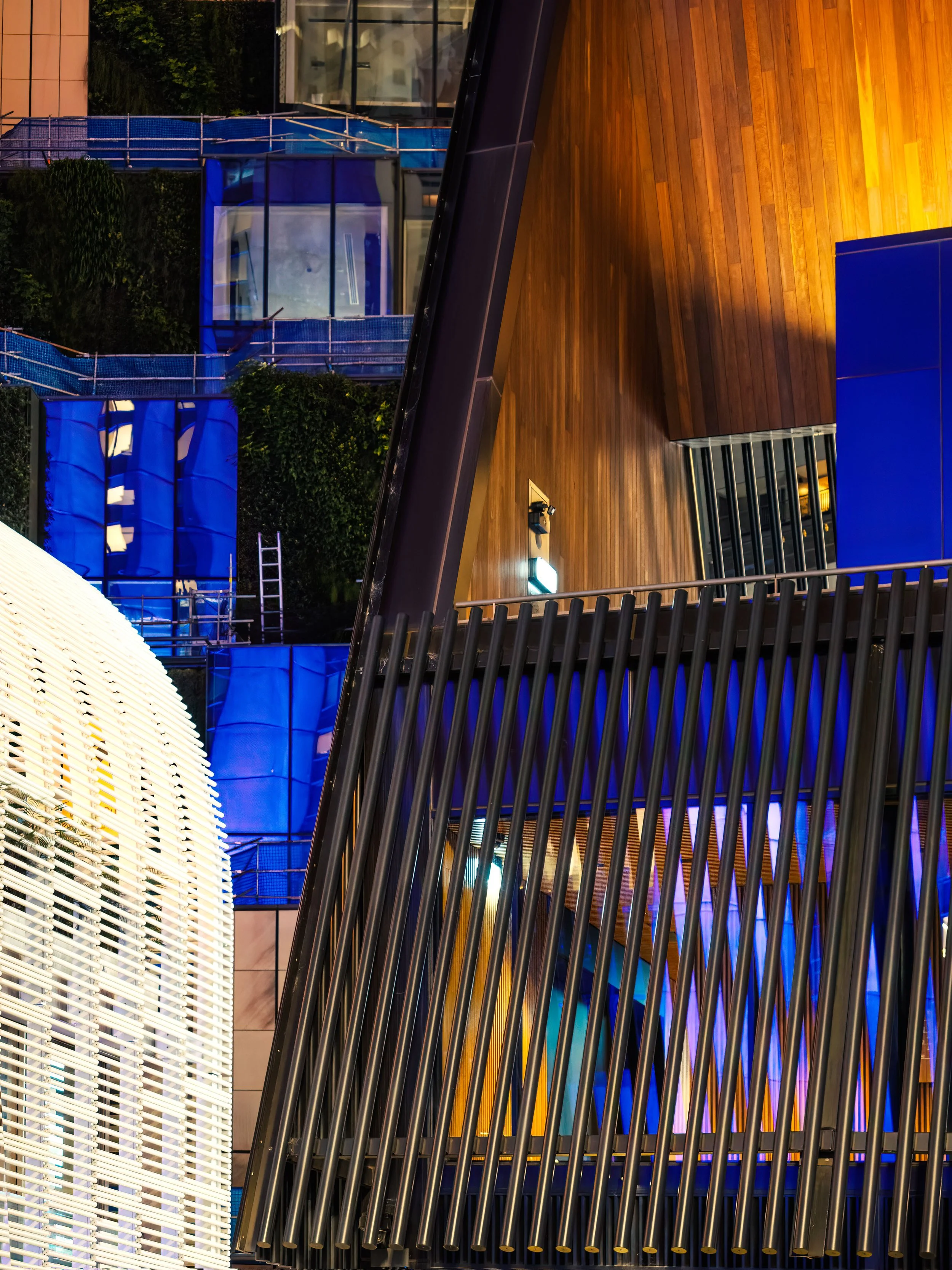 Vivid 2026 - 4952.JPG