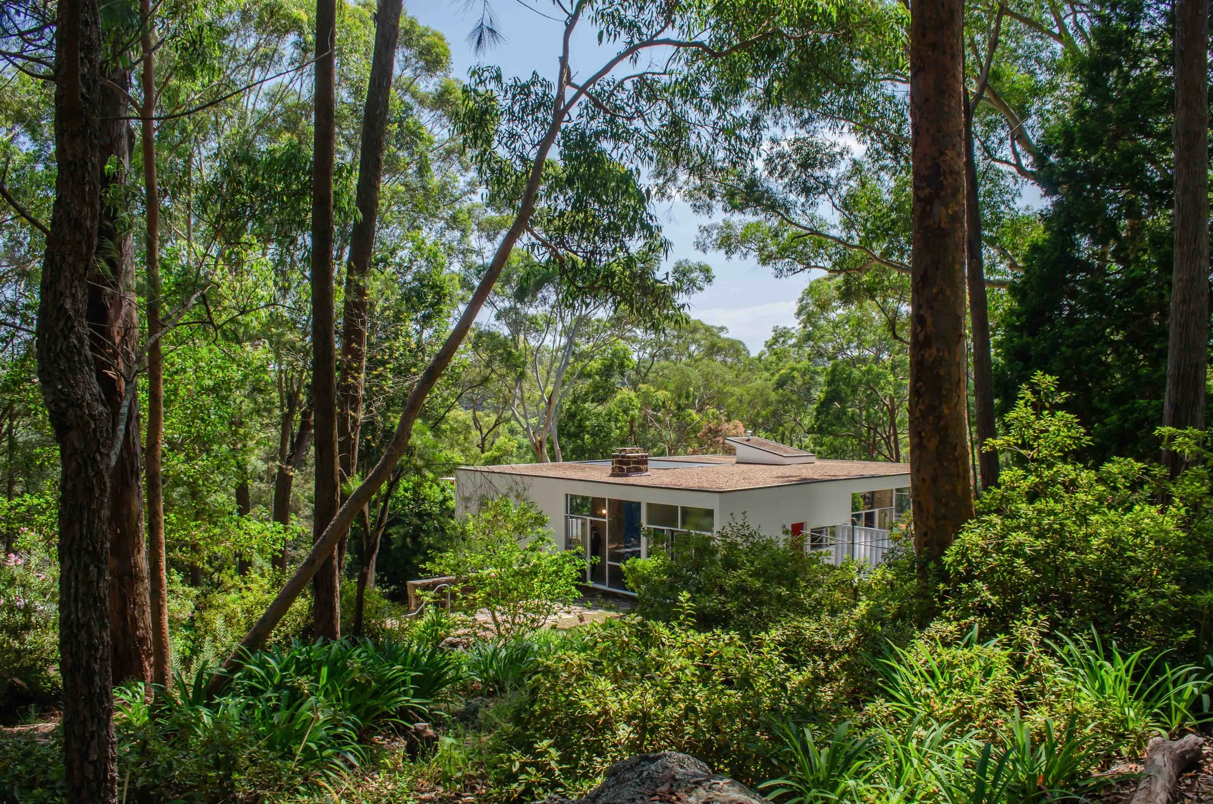 KathyWallacePhotography - Rose Seidler Julian Rose House - 0164.JPG