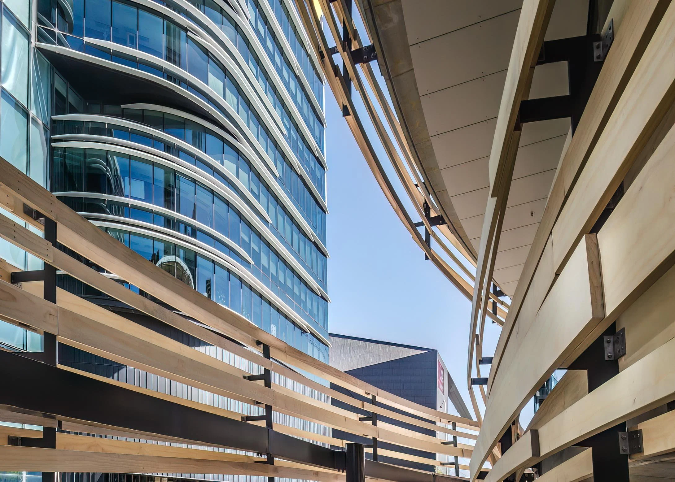 KathyWallacePhotography - Darling Harbour 1283.JPG