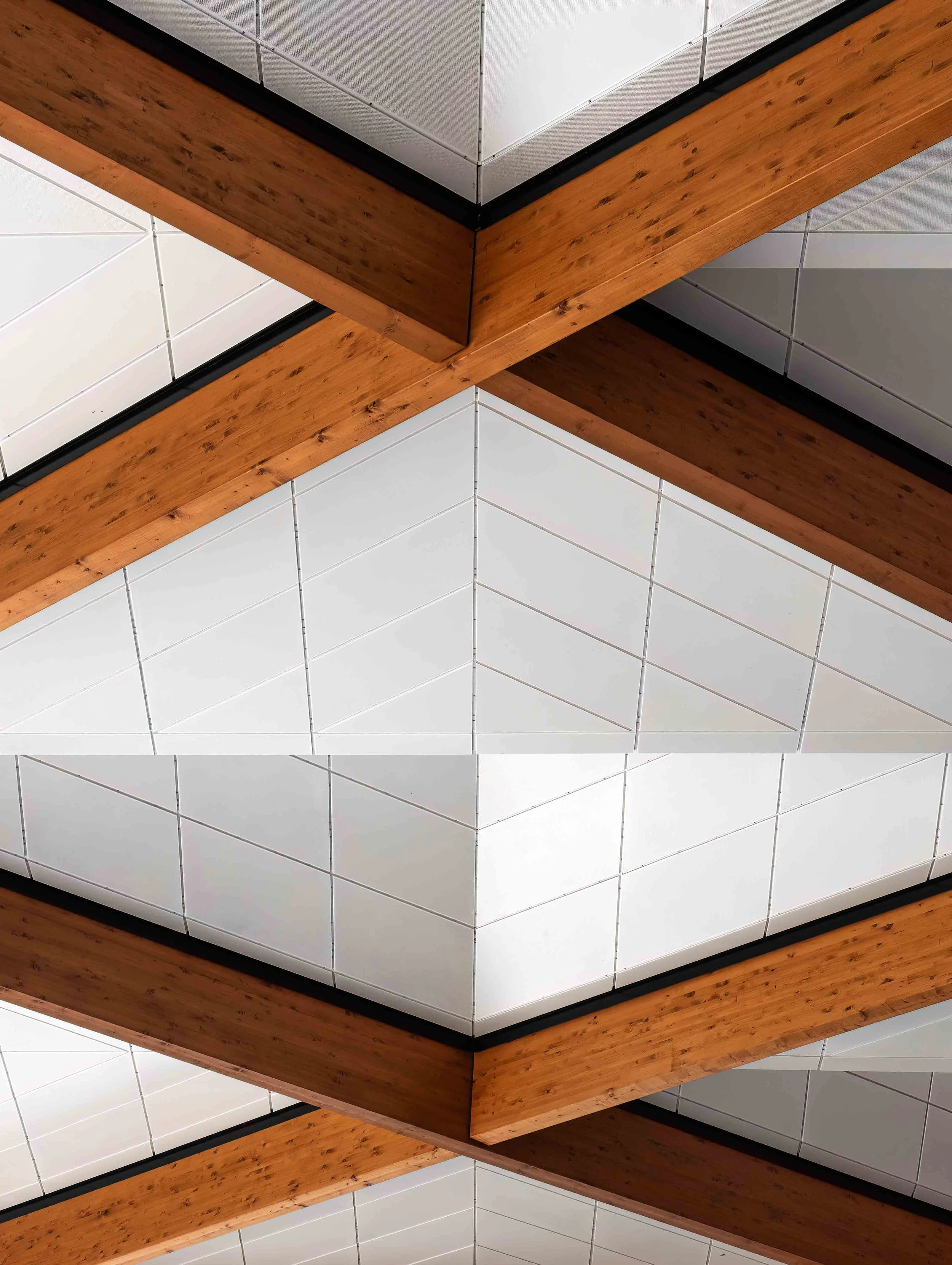 KathyWallacePhotography - Sydney Fish Market 8644.JPG