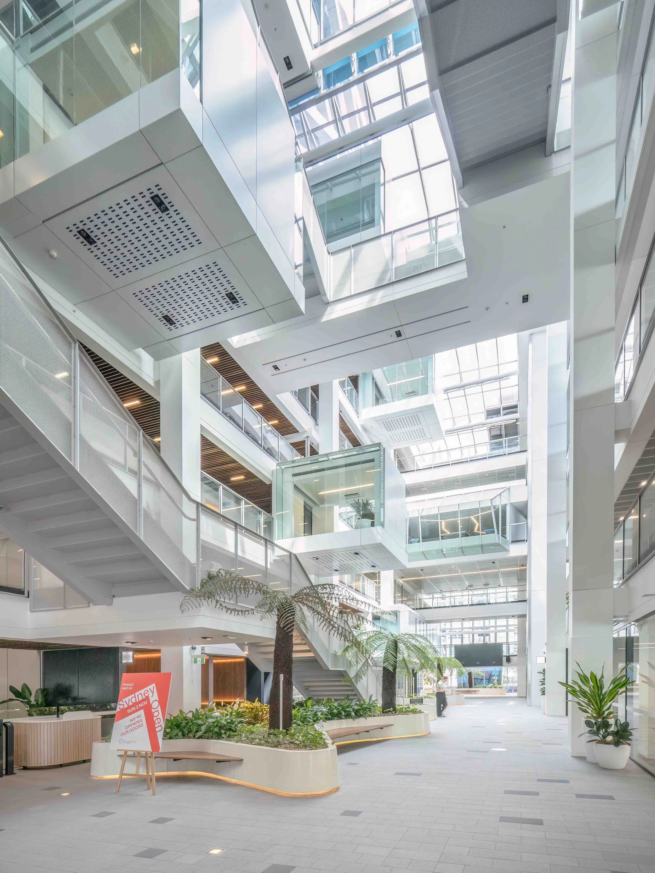 KathyWallacePhotography - 1 Shelley 6792.JPG