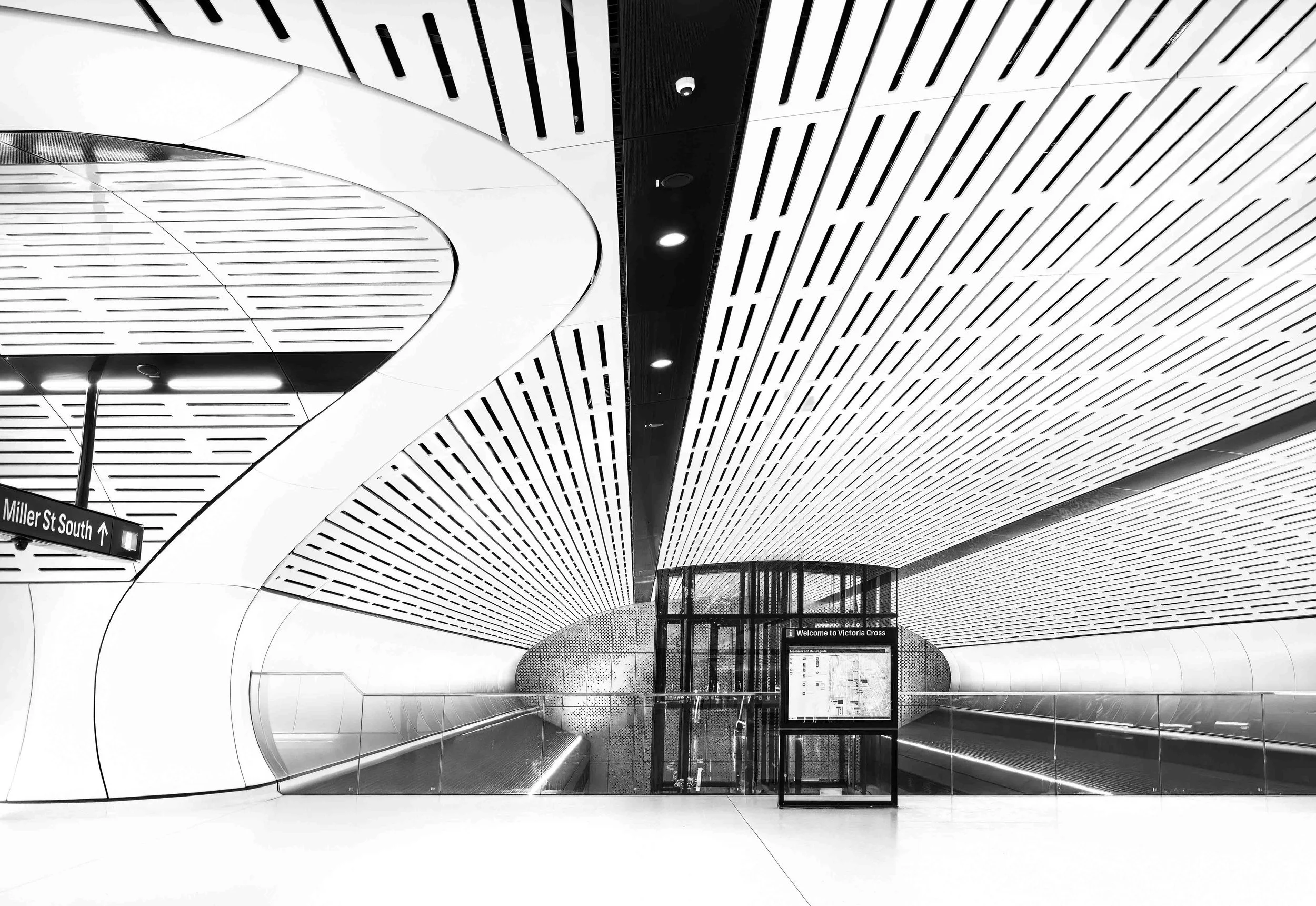 KathyWallacePhotography - Metro - 8746.JPG