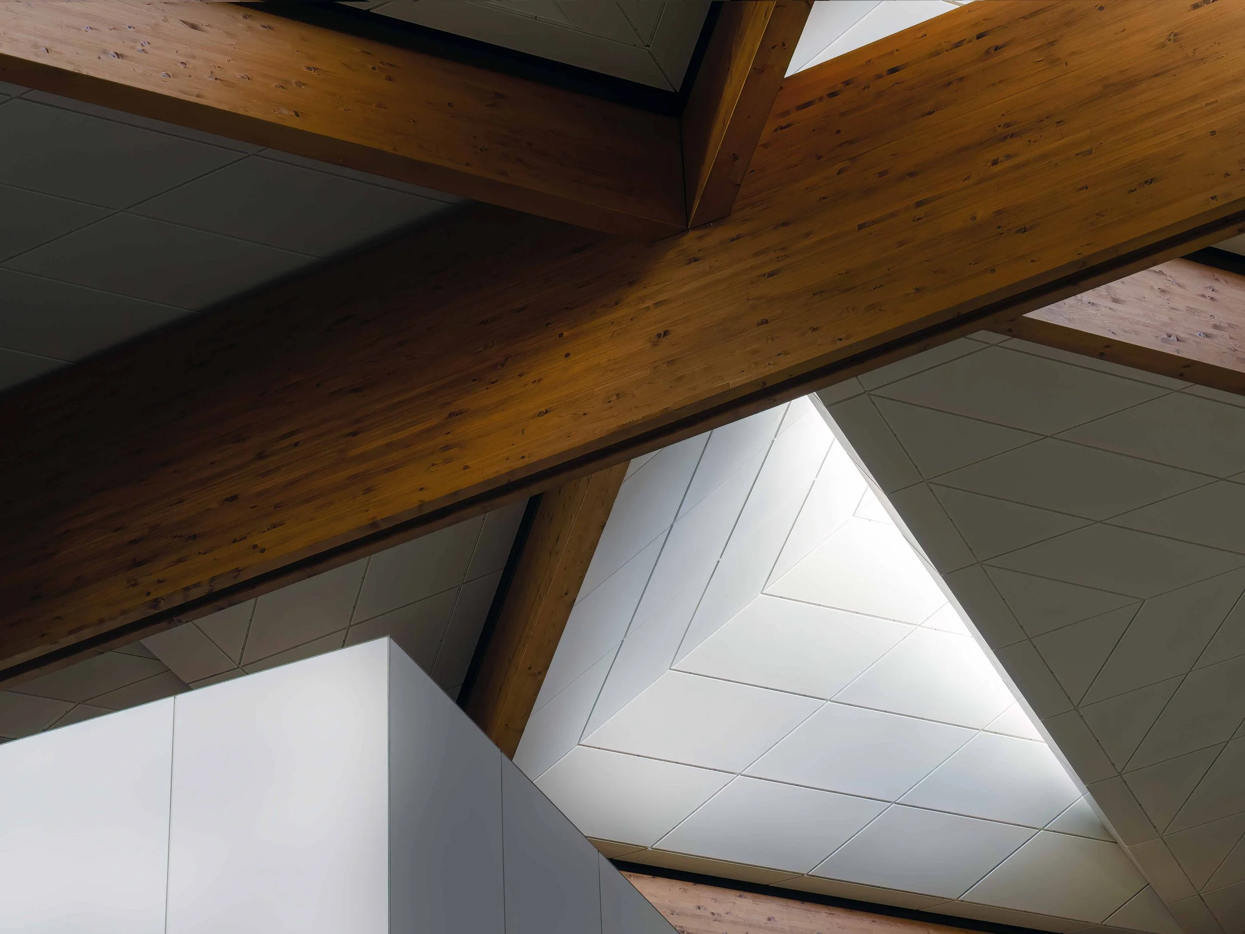 KathyWallacePhotography - Sydney Fish Market 8588.JPG