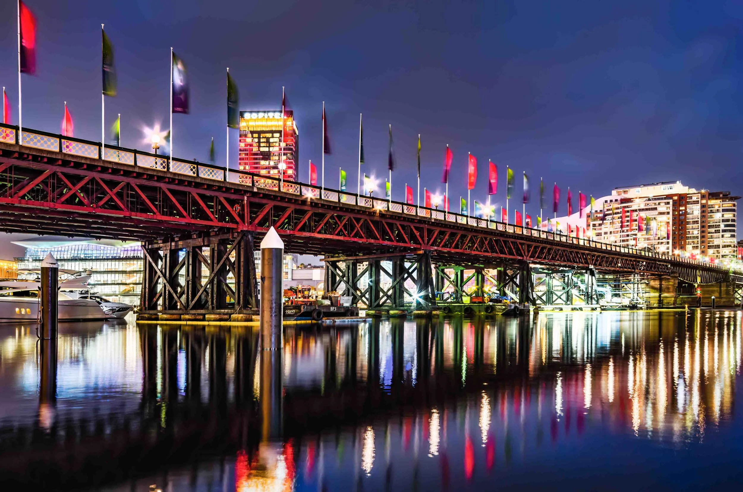 KathyWallacePhotography - Darling Harbour 0581.JPG