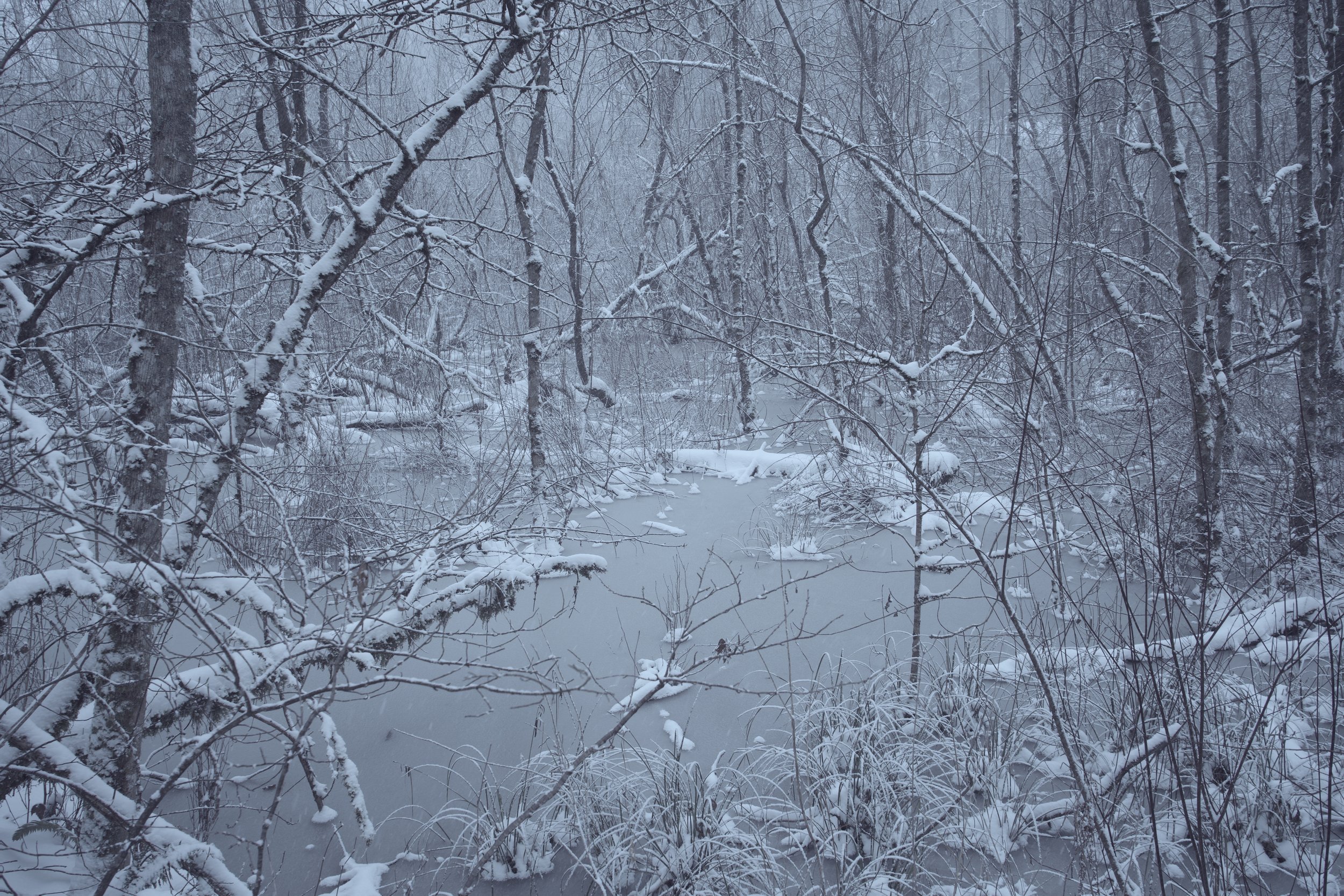 2021-02-13_15-02-15_000.jpeg