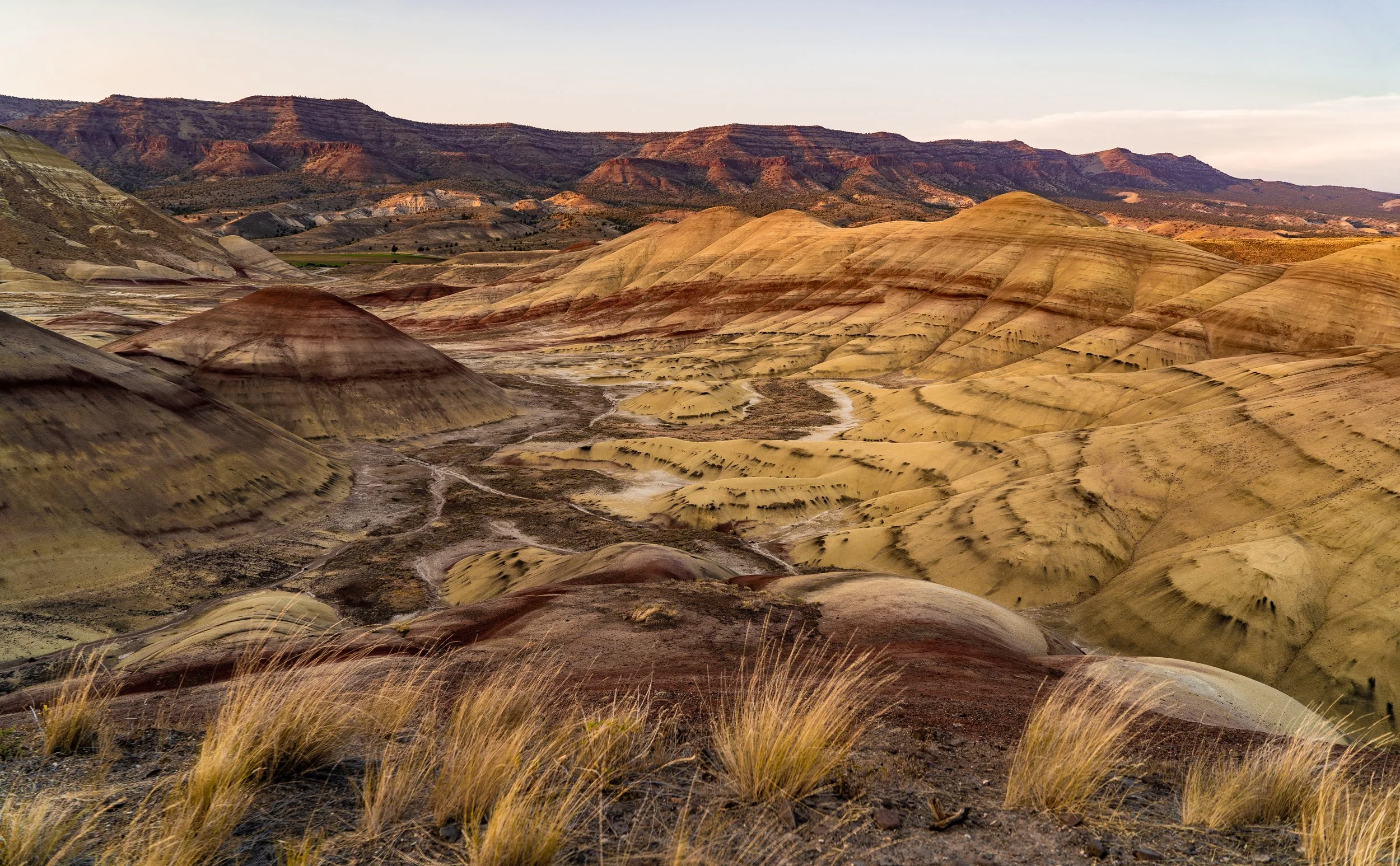 2021-07-01_20-24-31_000 (2022-01-02T04_19_27.834).jpeg