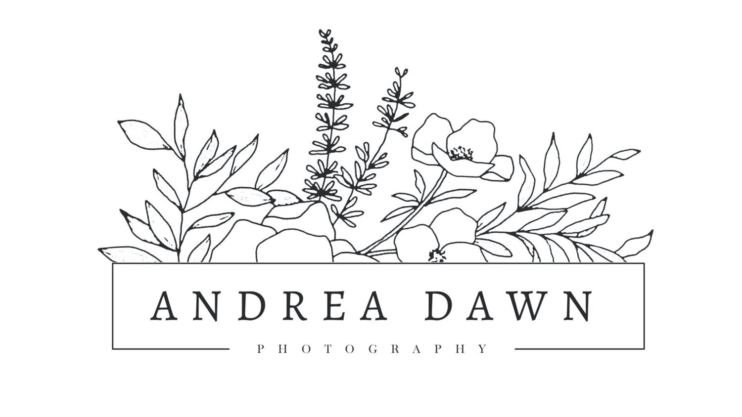 Andrea Dawn Photography 