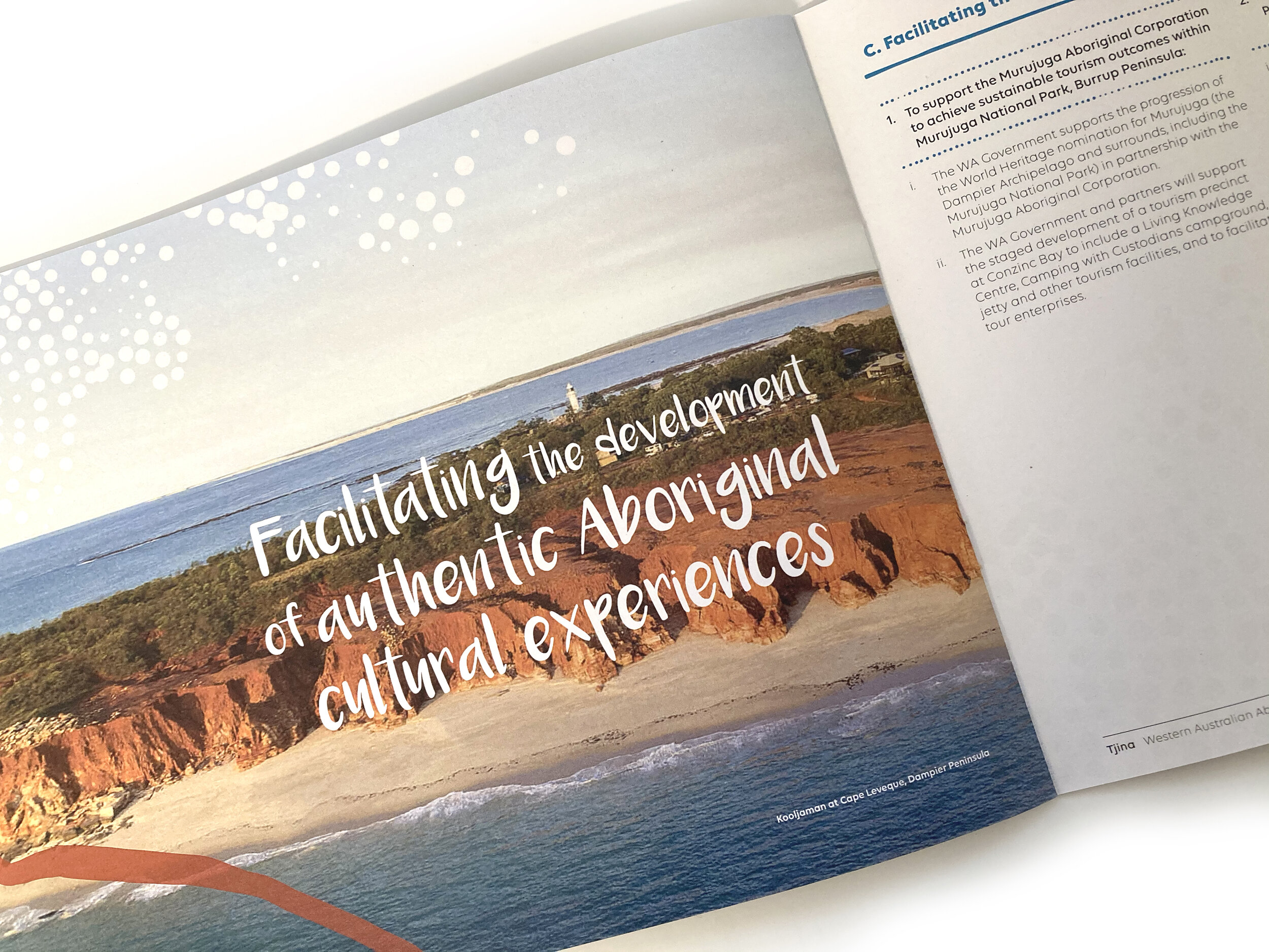 aboriginal tourism action plan