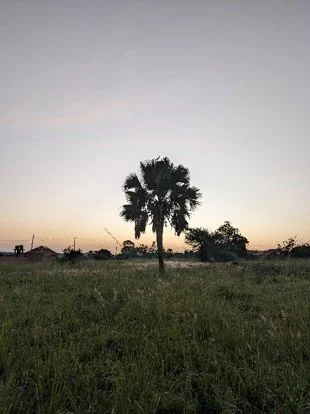 Screenshot 2026-01-25 192334.jpg