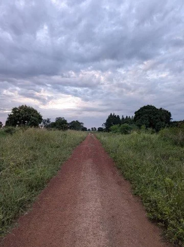 Soroti Backroad