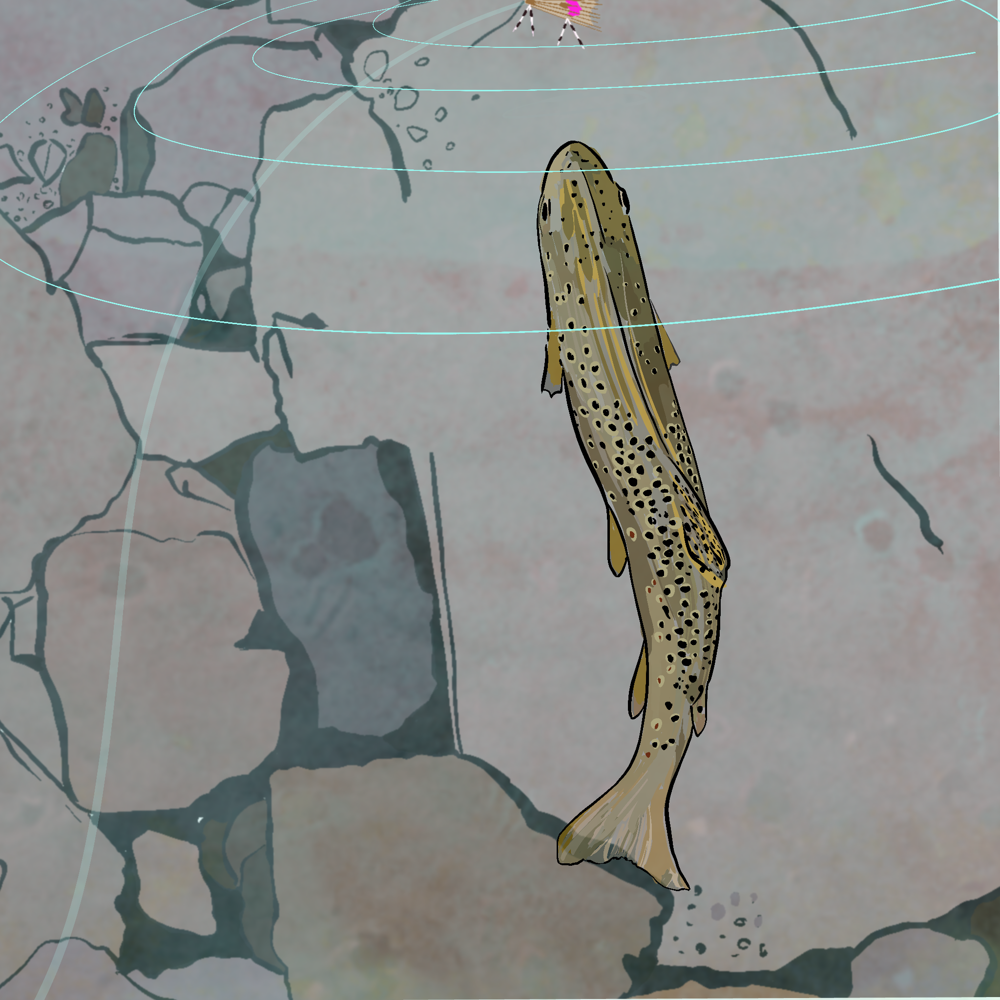 Untitled_Artwork (6).png