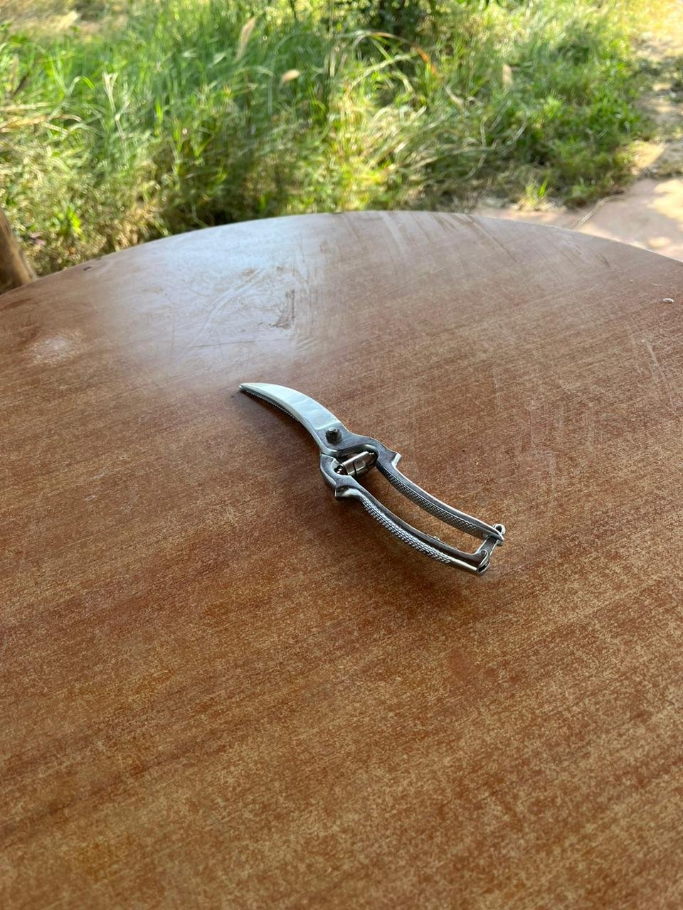 scissors 1.jpg