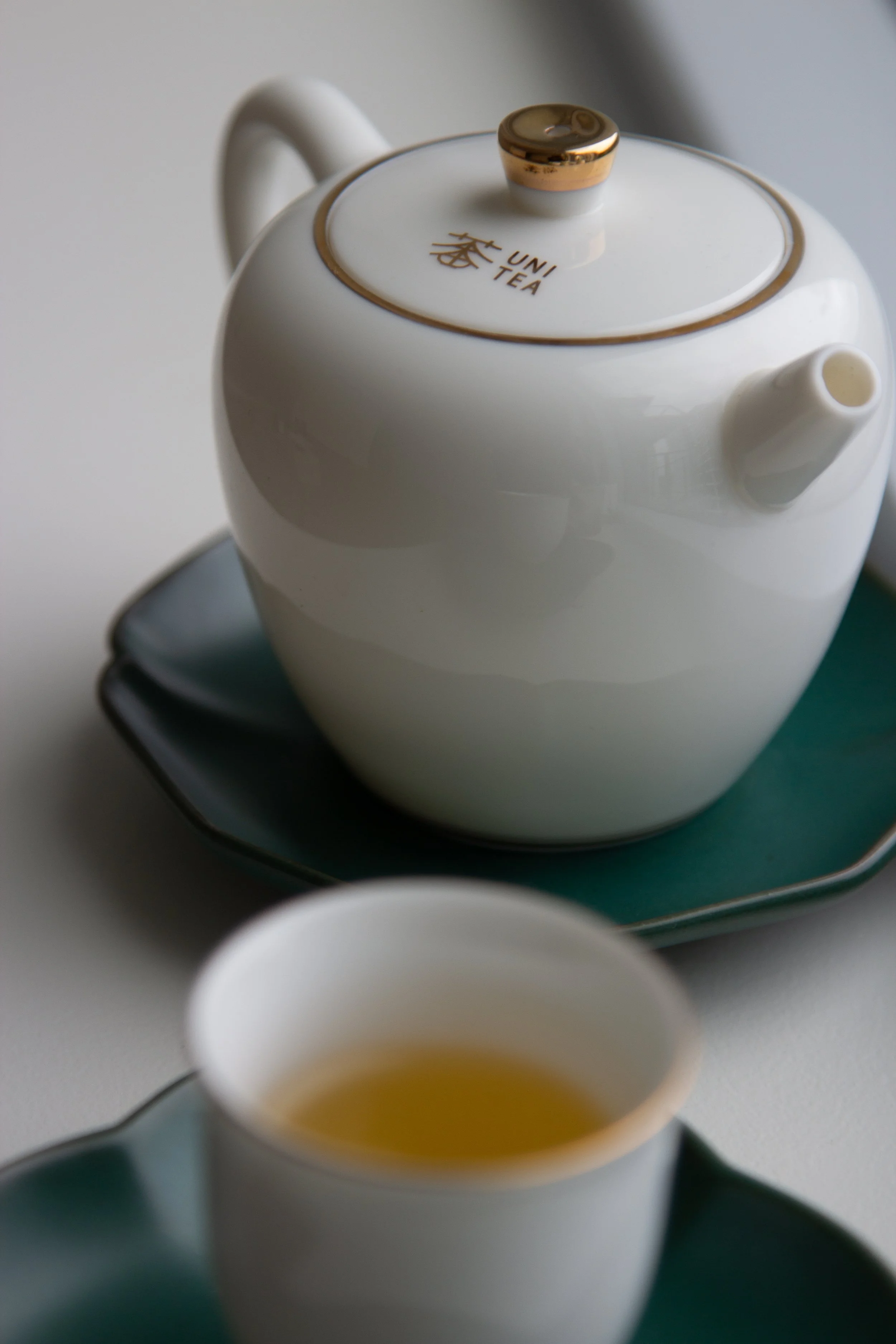 What is a Life Alchemist?