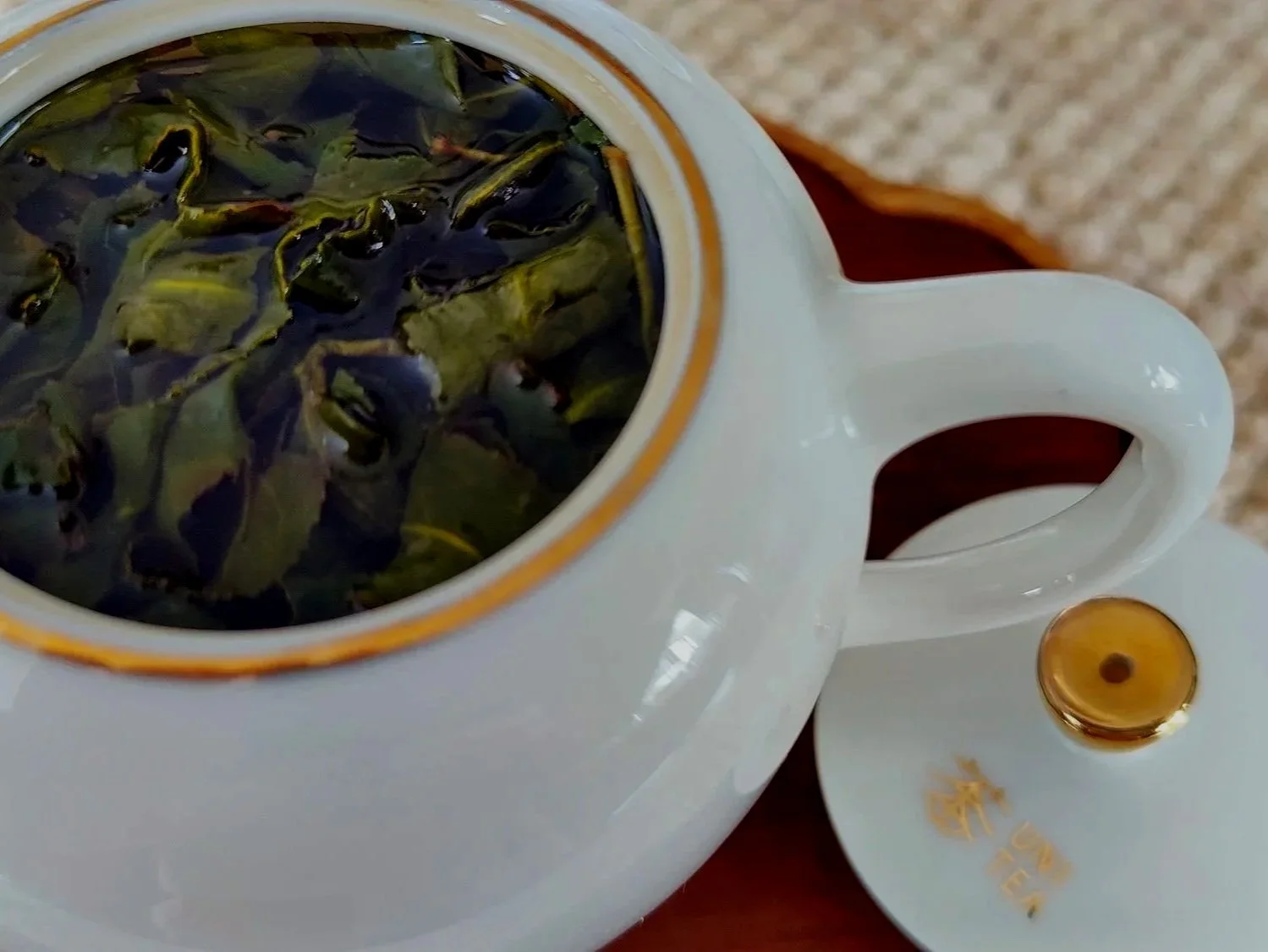 Watching Leaves Unfurl, Growing as Humans