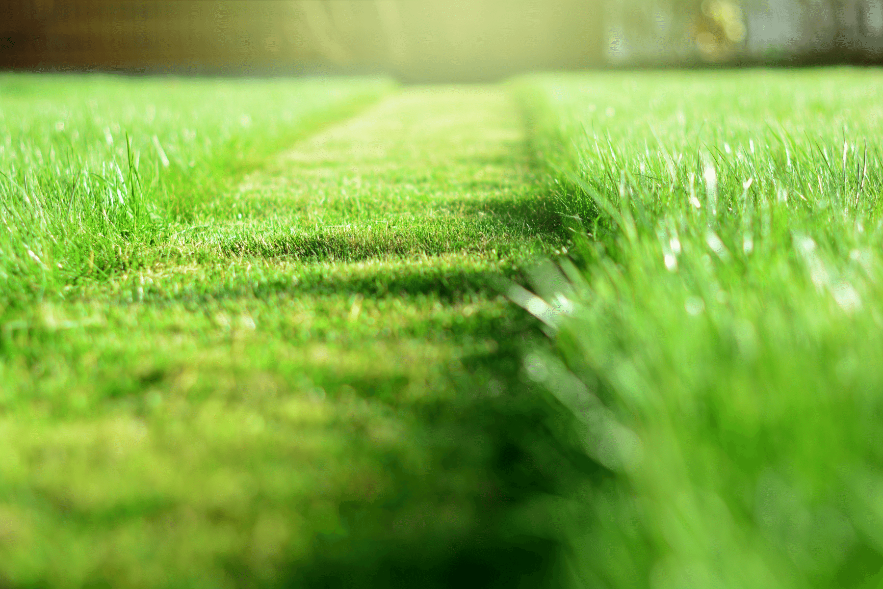 Website Photos - Mowing.png