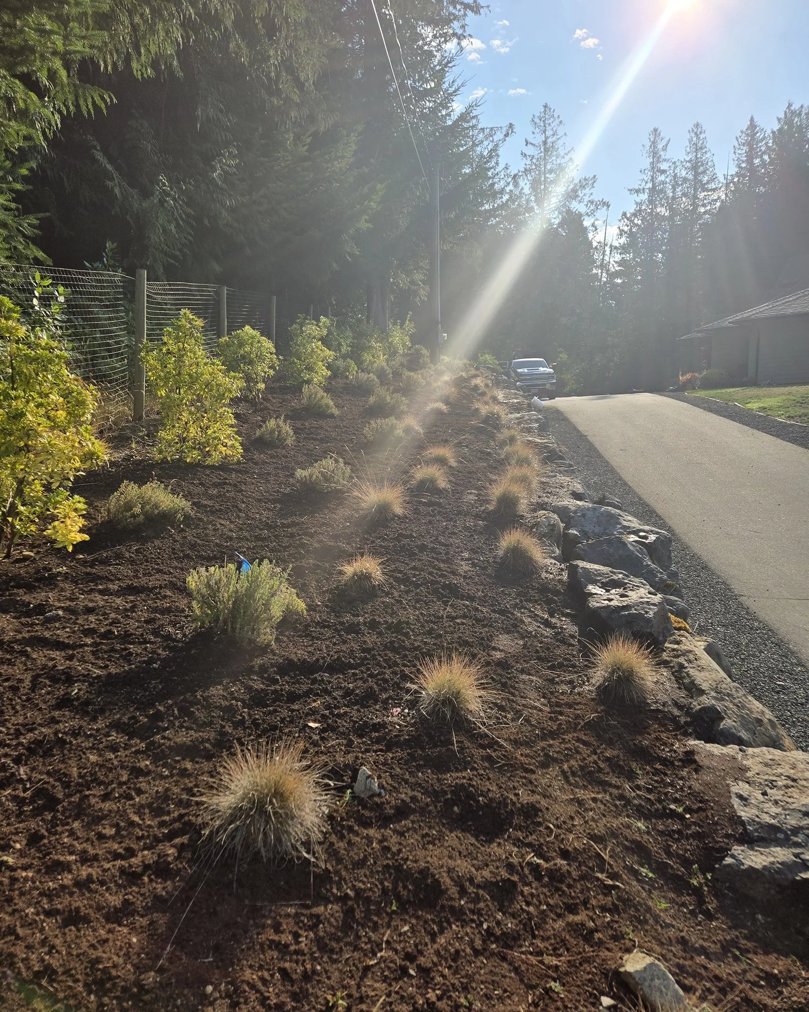 Running a cultivator through your garden beds is a simple yet effective way of refreshing the mulch! #homeservices #commerciallandscaping #LandscapingVictoria #egotools #landscape #yyj #gardening #victoriabc