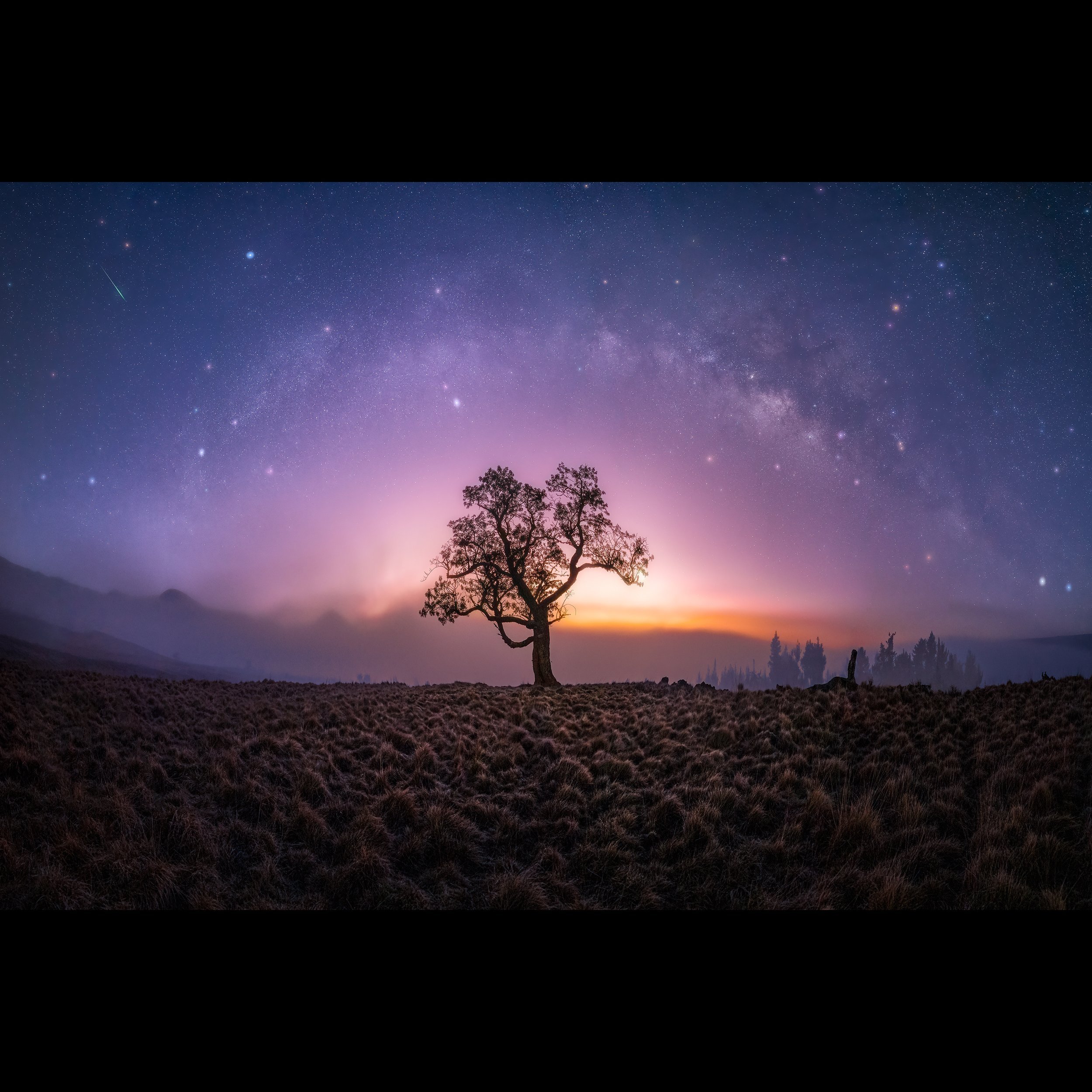 CKTY5581-Pano-Edit-Edit-Edit.jpg