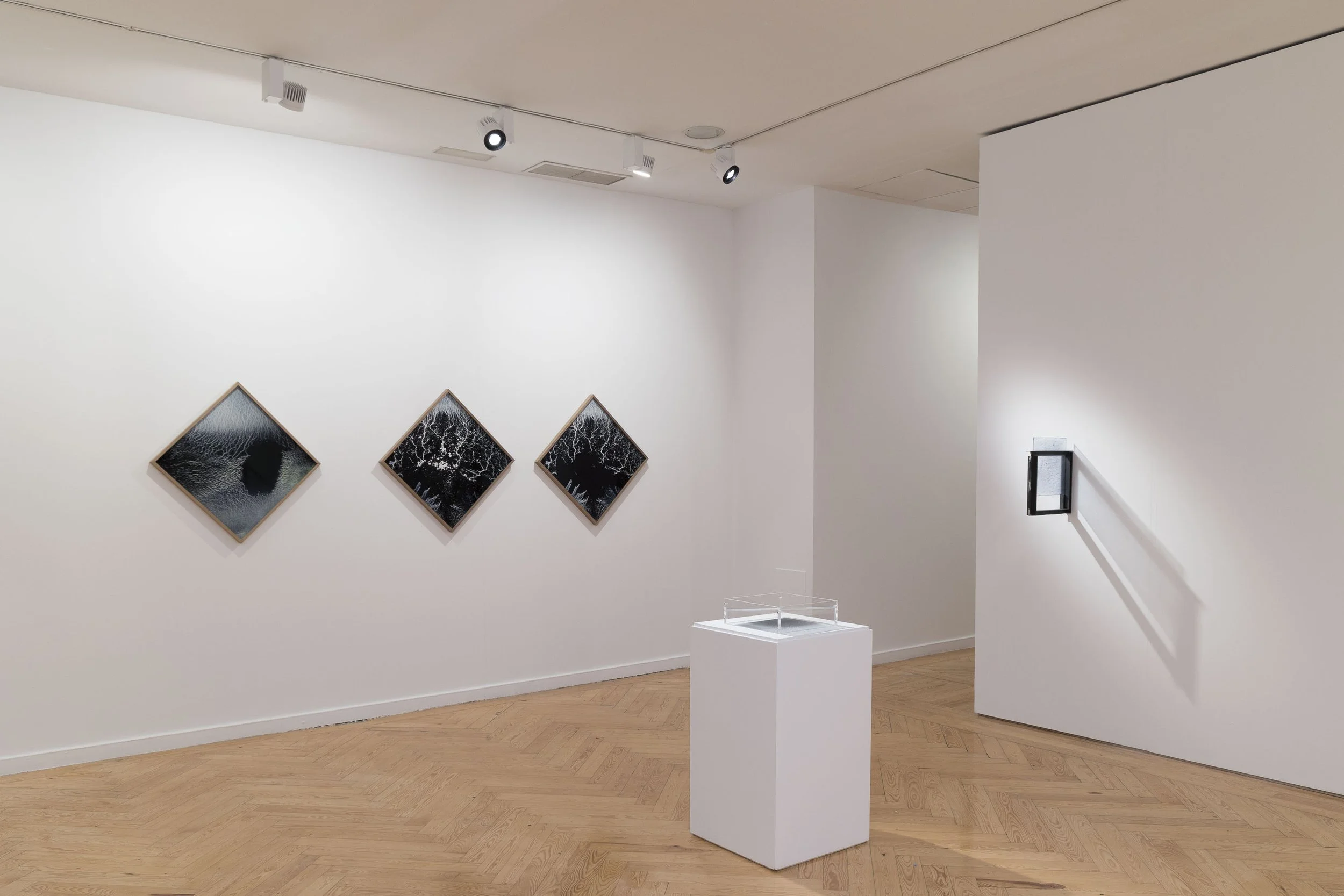 LOW_CBA_Couder_PHotoEspaña015.JPG